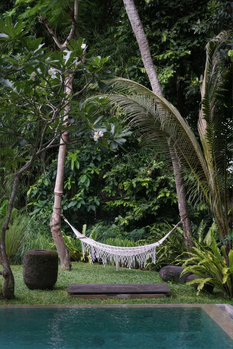 Hammock in the morning light