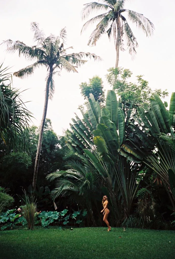 Guest beneath the palms in the tropical garden