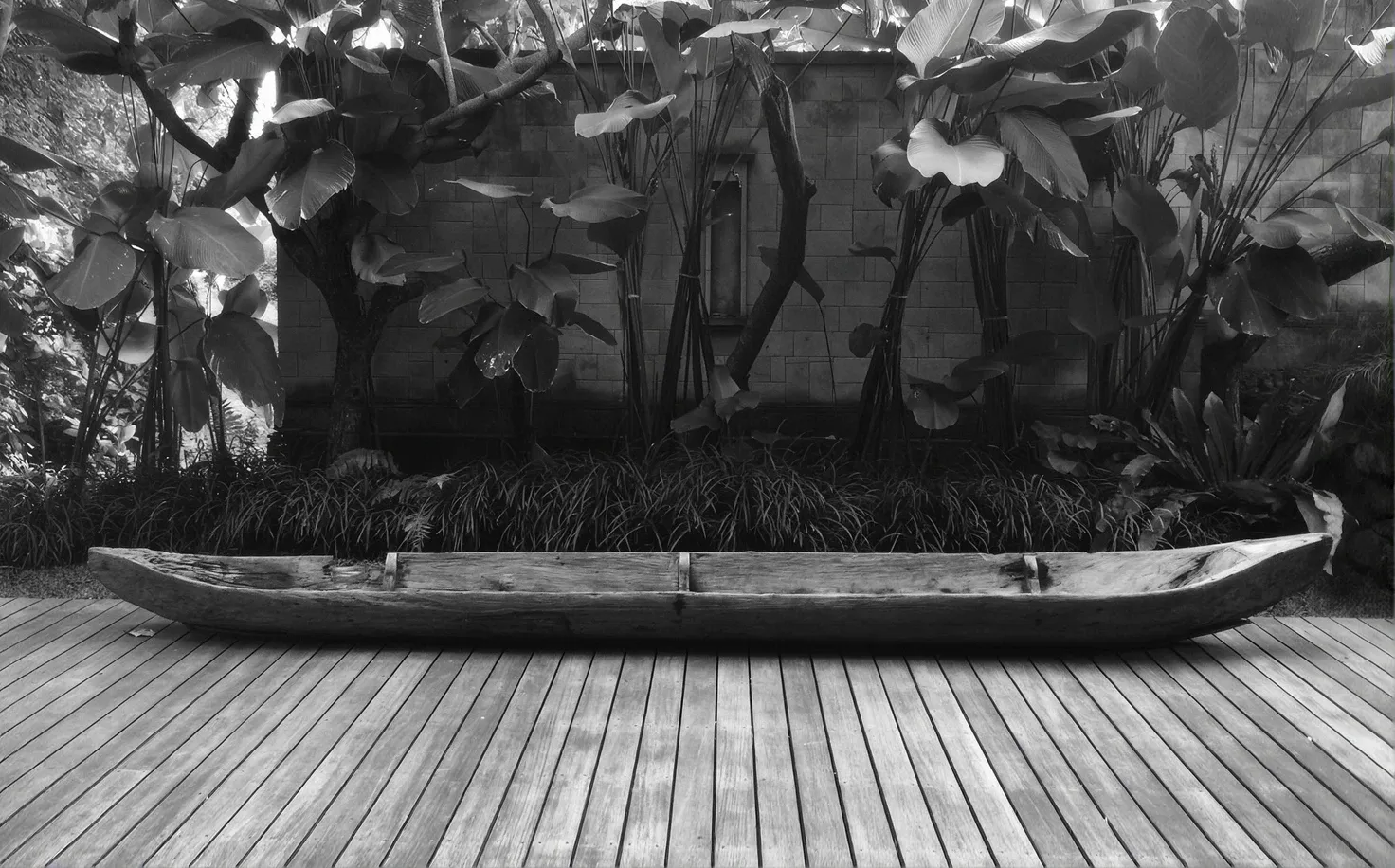 Tropical foliage against the garden wall