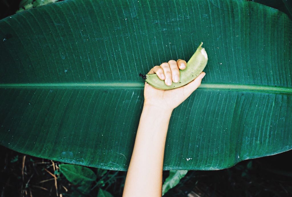 Hand resting on a banana leaf