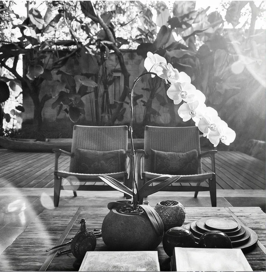 Orchid and chairs on the deck