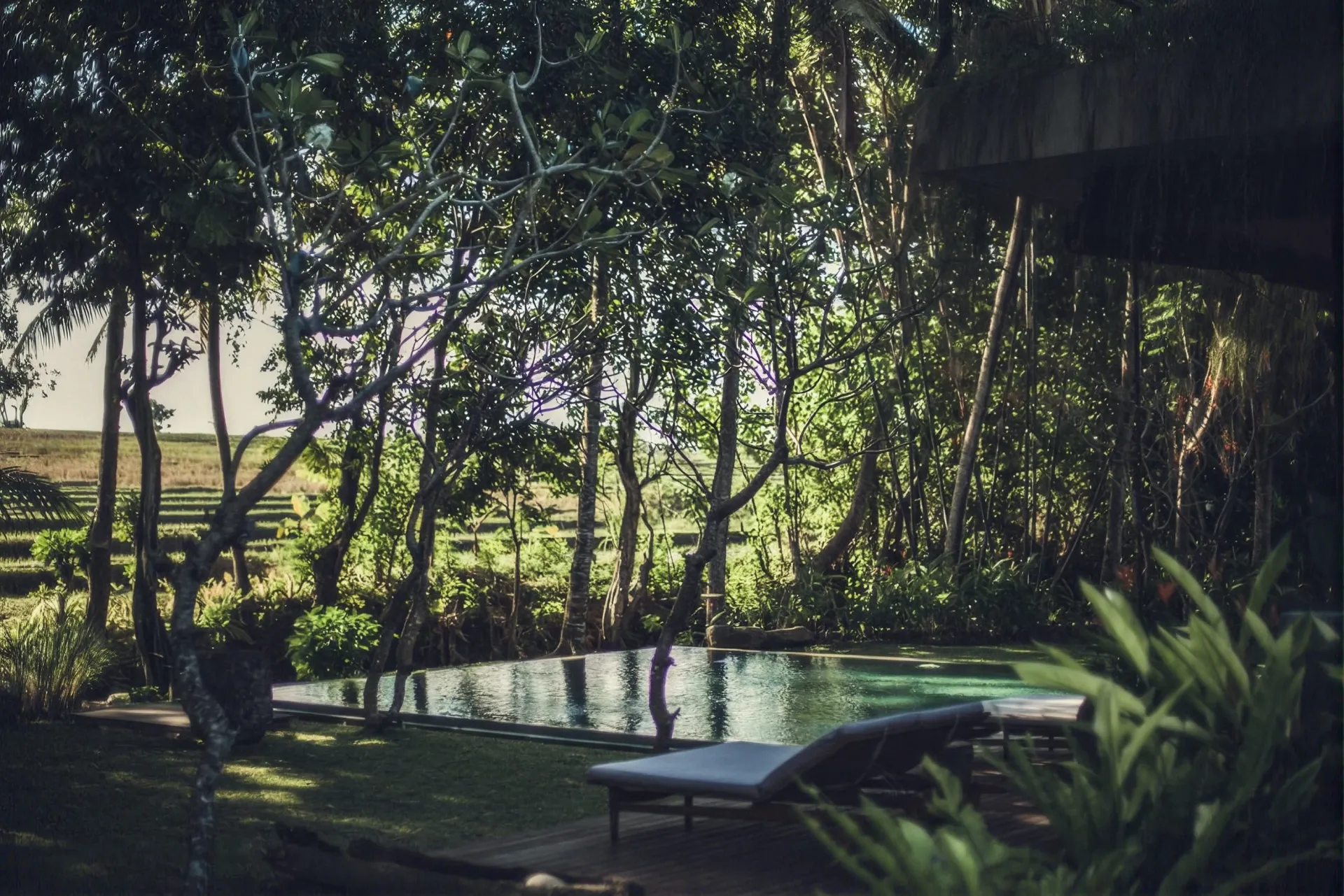Pool at dusk with the rice fields beyond