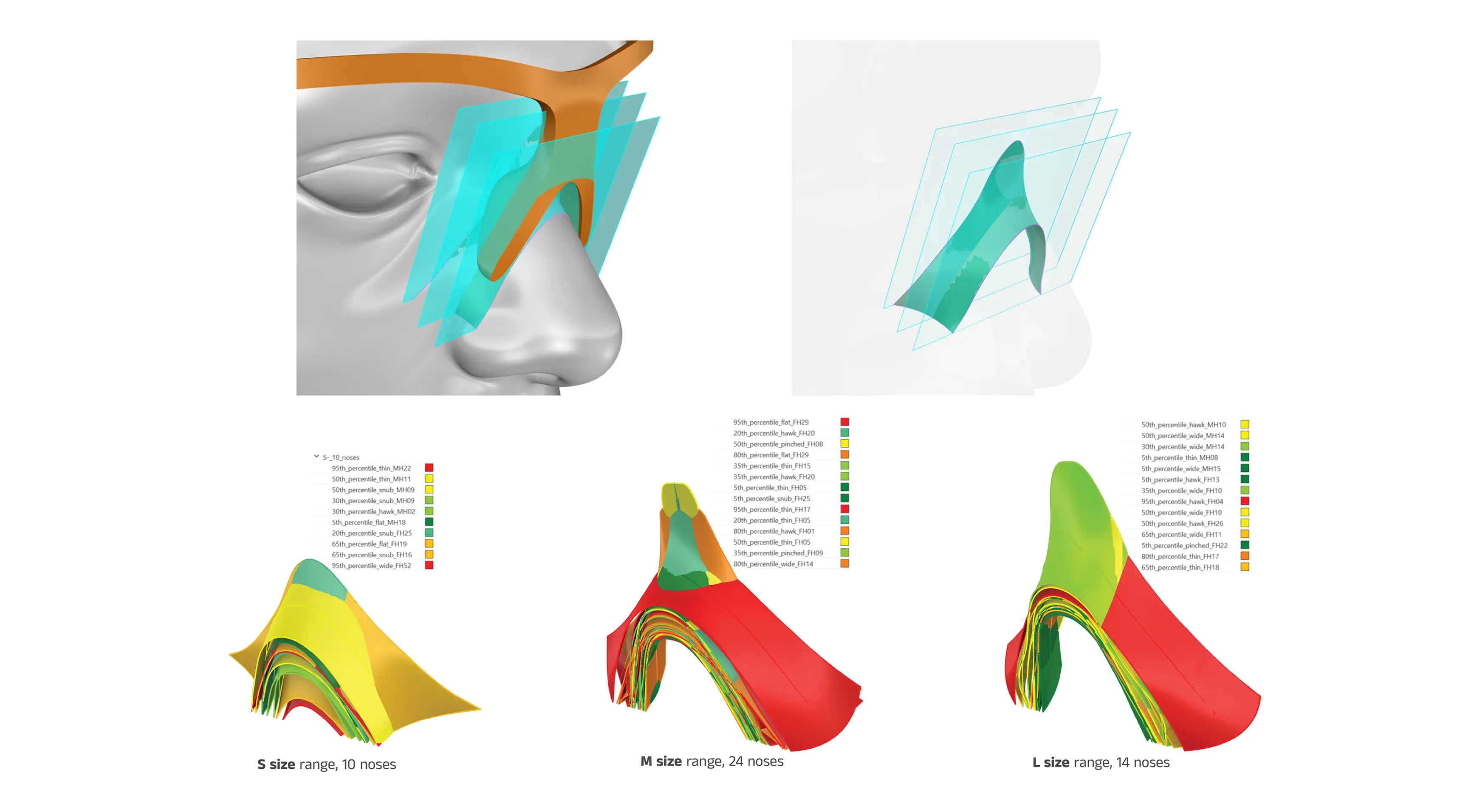3D visualization of nose shapes and sizes with percentile color coding: Top left shows a side view of a face with turquoise planes highlighting the nose area. Top right shows a transparent side profile with blue planes around the nose. Bottom row displays three colorful 3D nose shape models labeled by size range and sample count: S size range, 10 noses; M size range, 24 noses; L size range, 14 noses. Each model uses red, yellow, green, and orange colors indicating various percentile measurements as shown in legends.