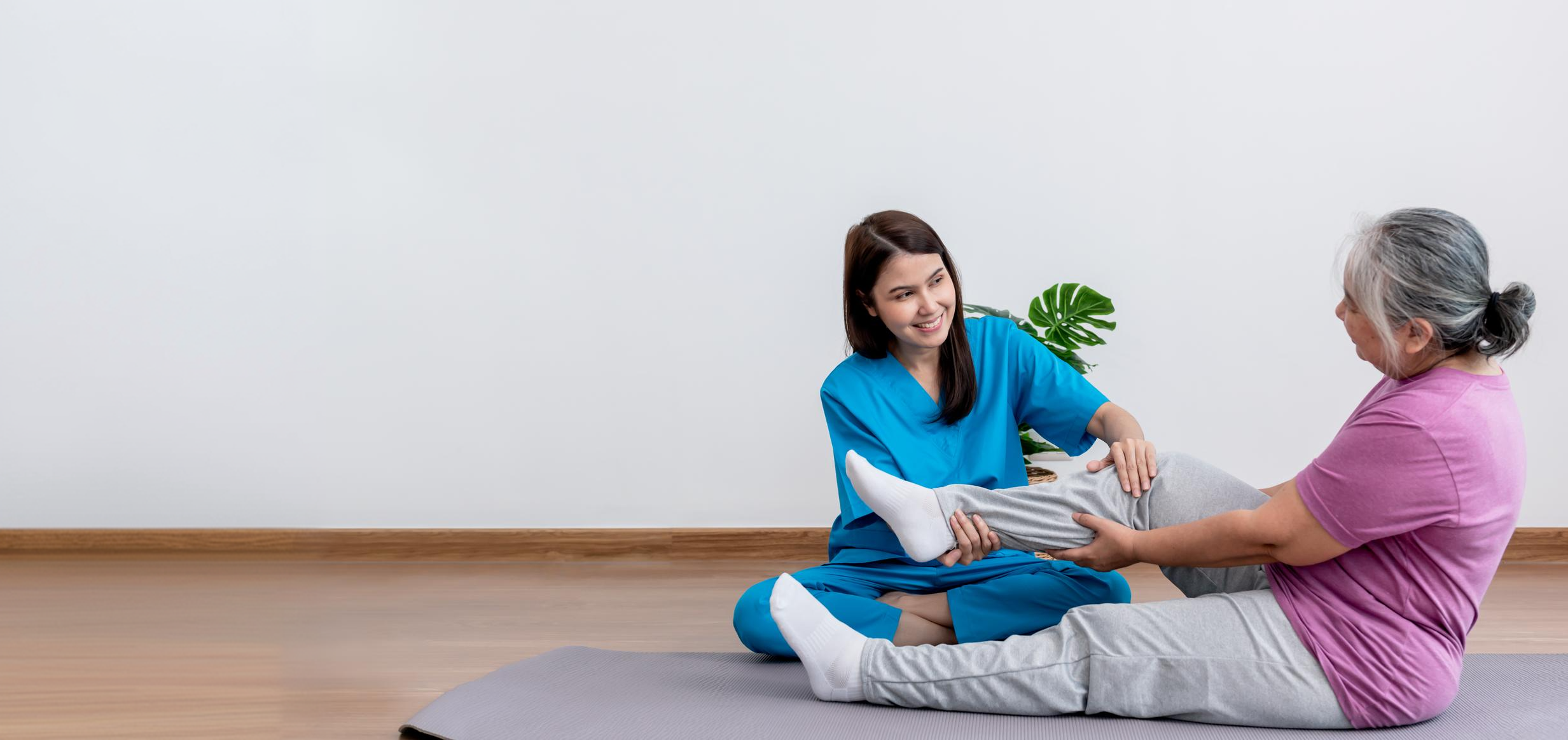 Support services at home