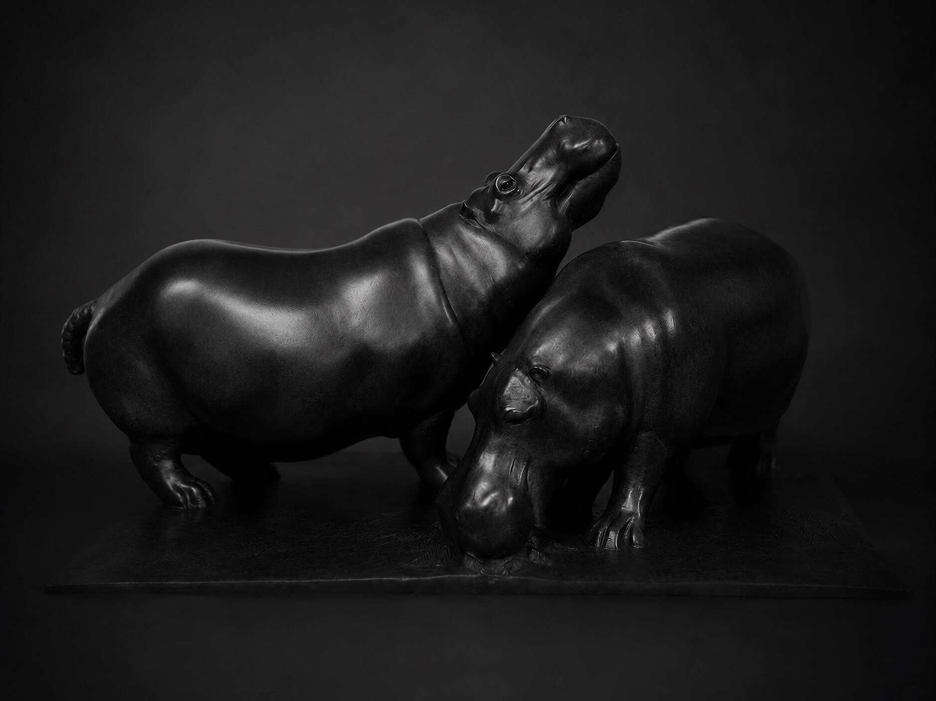 Two Hippos Jonathan Knight