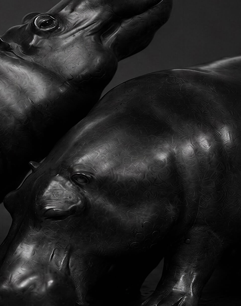 Hippos Jonathan Knight