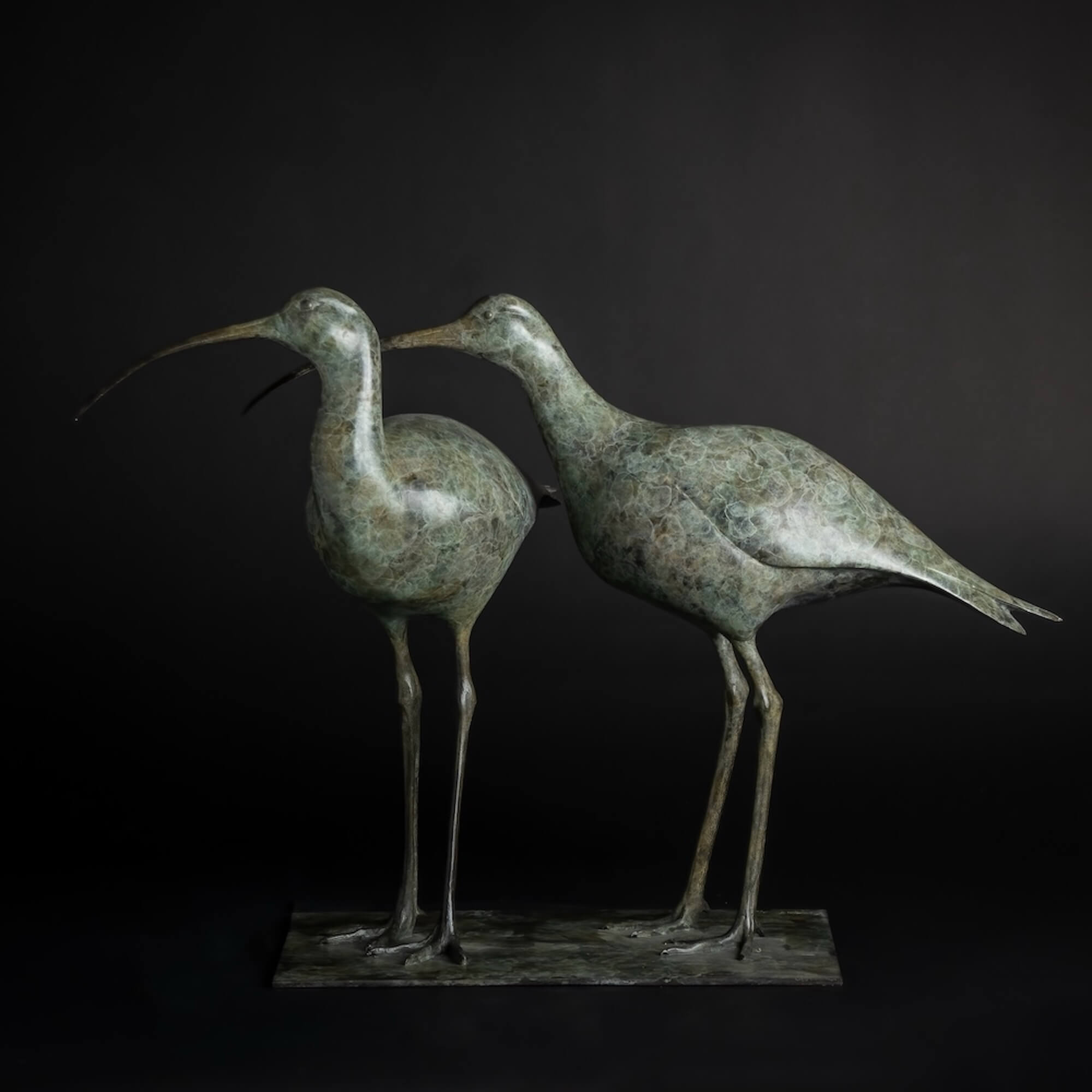 Jonathan Knight | Curlews