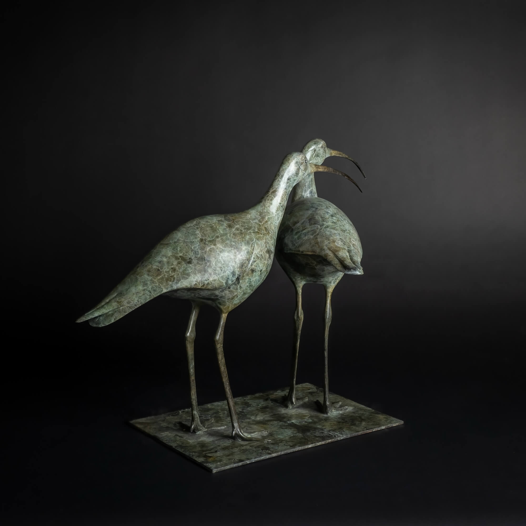 Jonathan Knight | Curlews