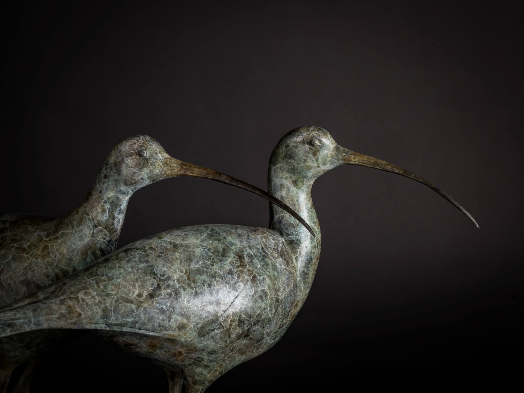 Jonathan Knight | Curlews