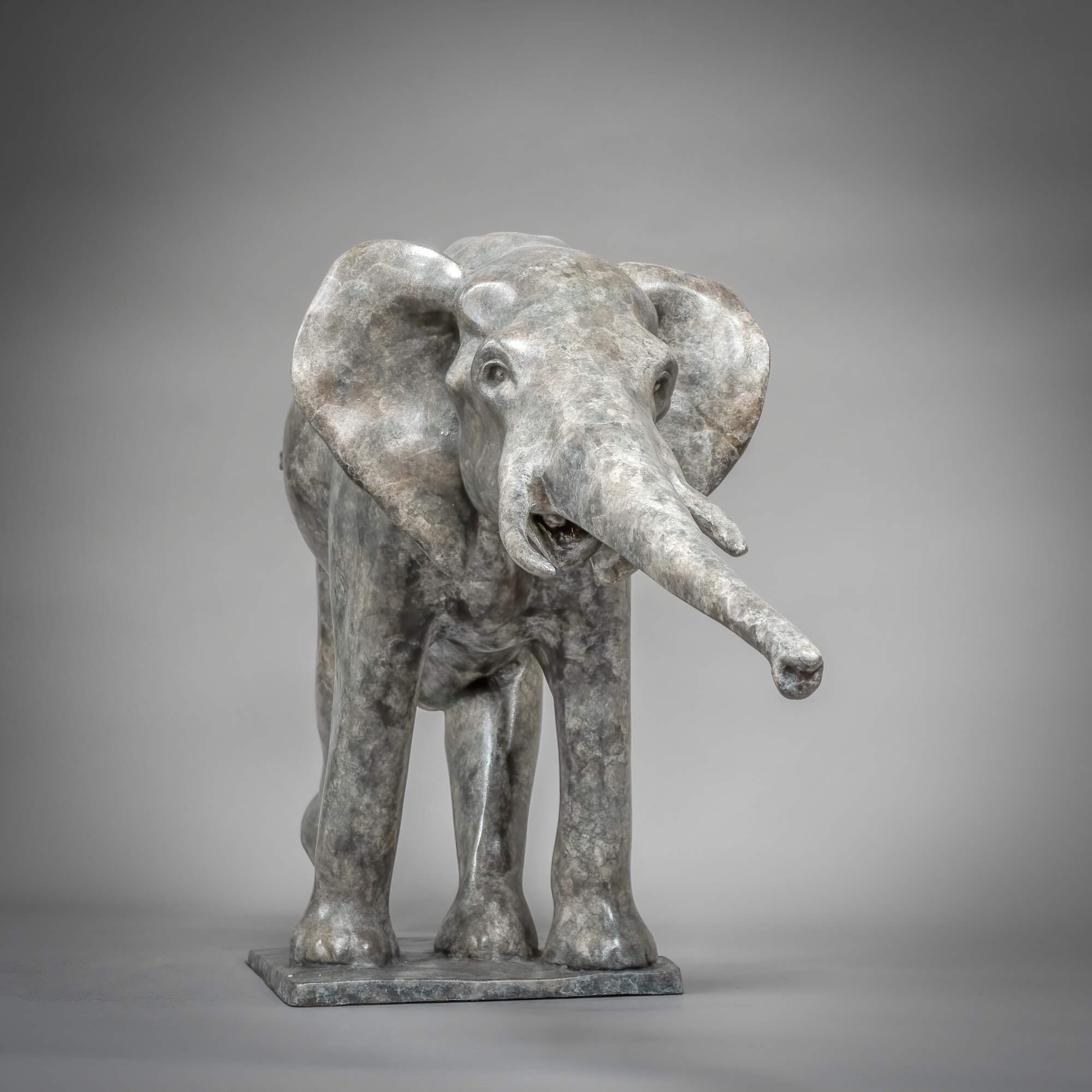 Jonathan Knight | Elephant Reaching Out