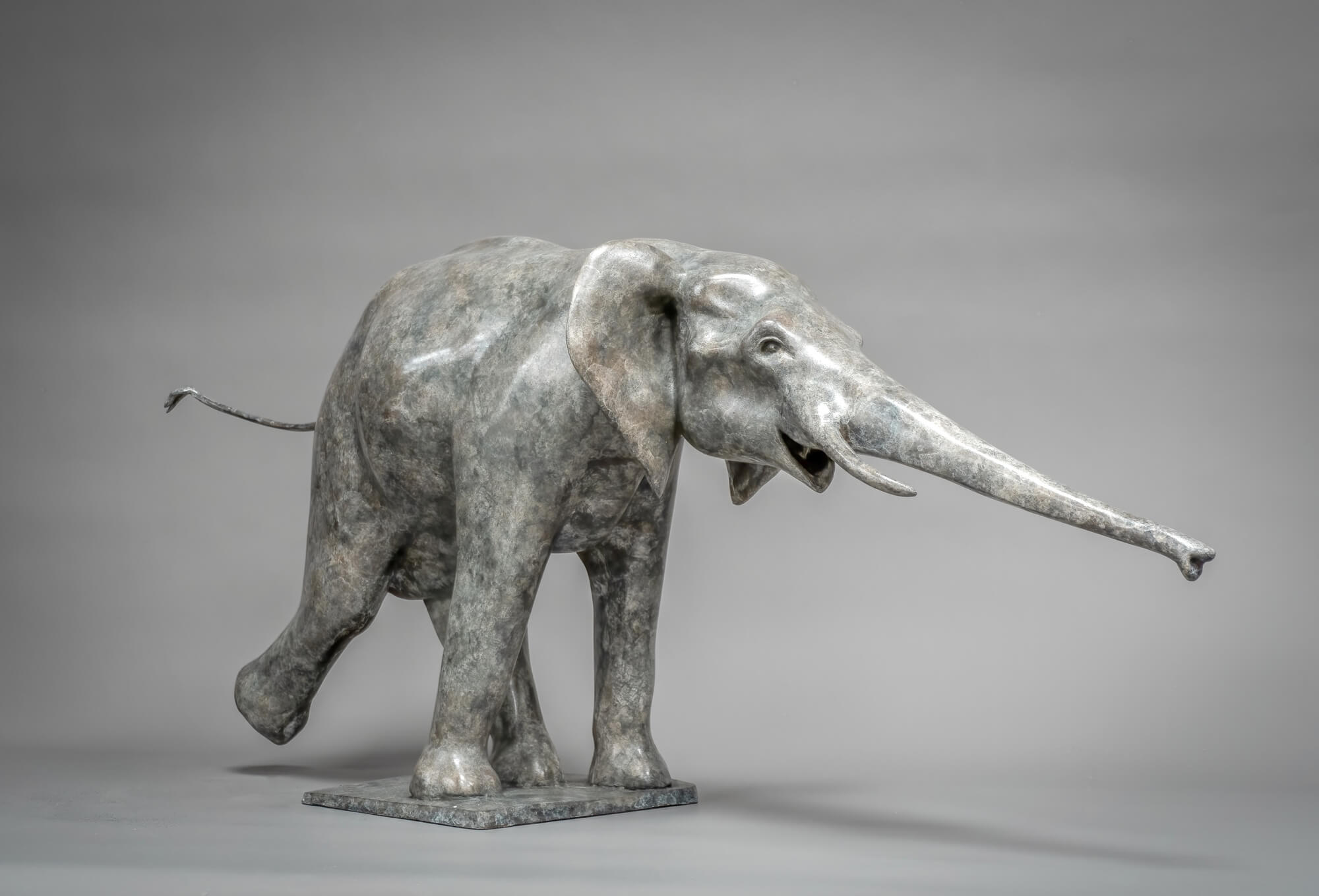 Jonathan Knight | Elephant Reaching Out