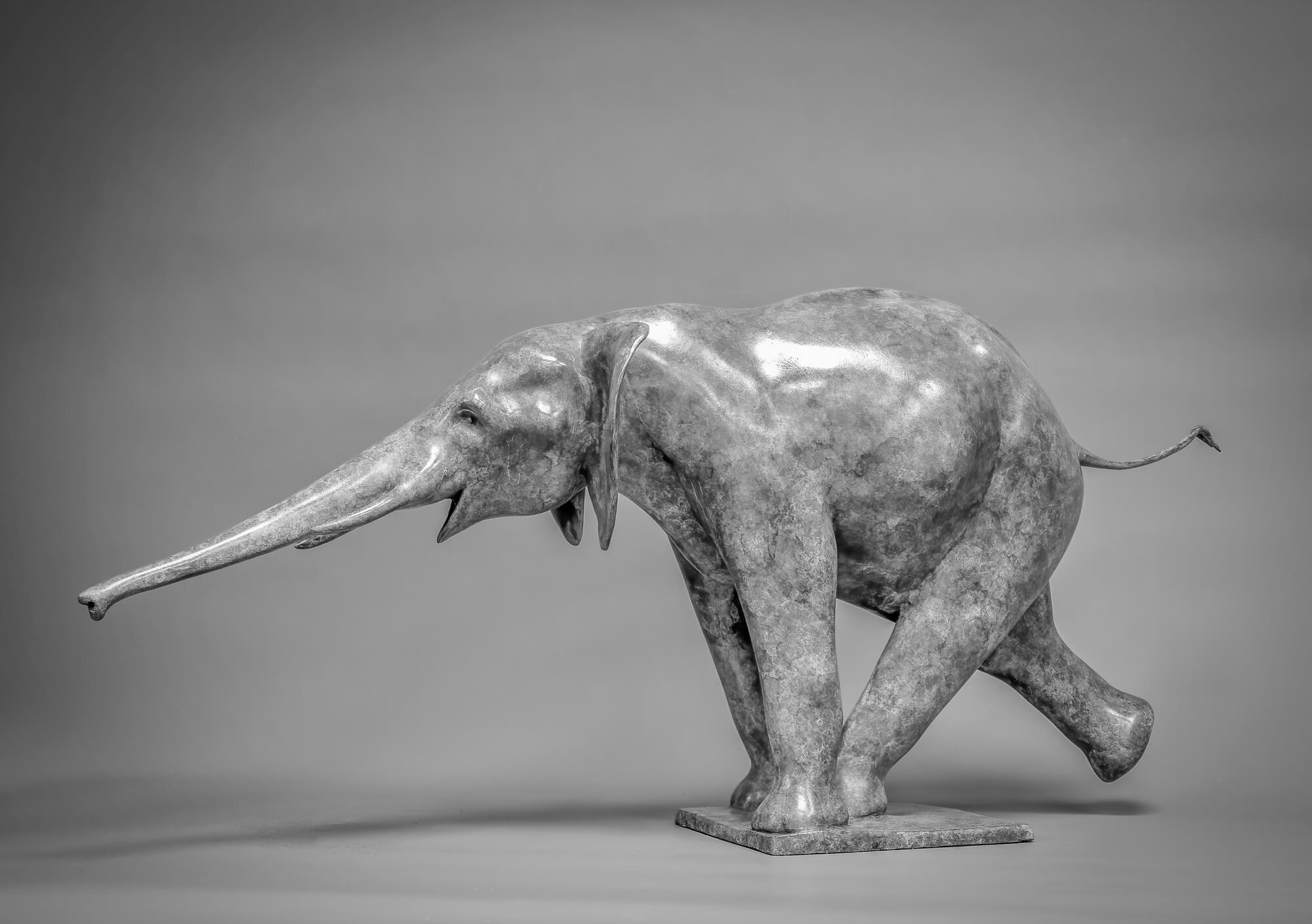 Jonathan Knight | Elephant Reaching Out