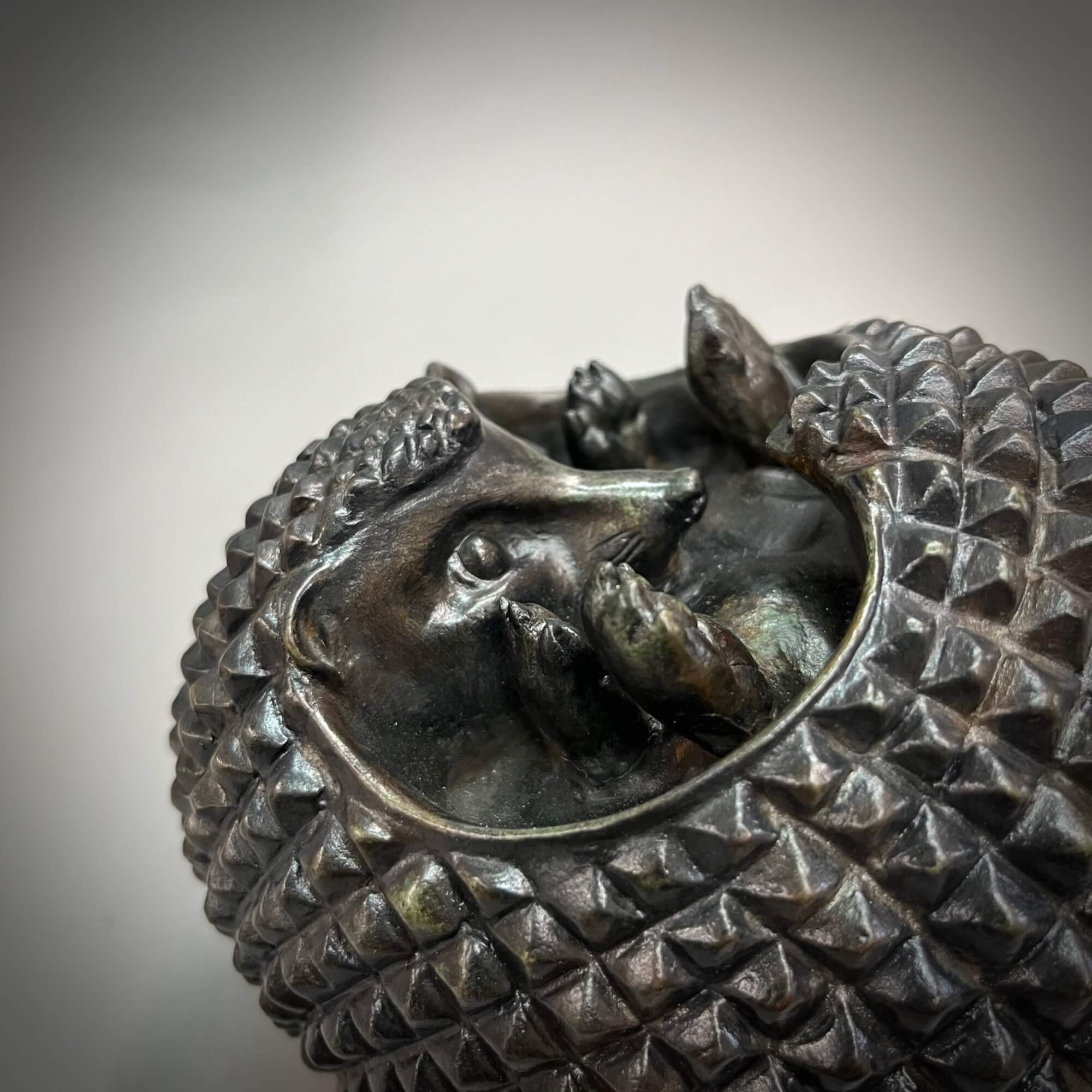 Jonathan Knight | Hedgehog