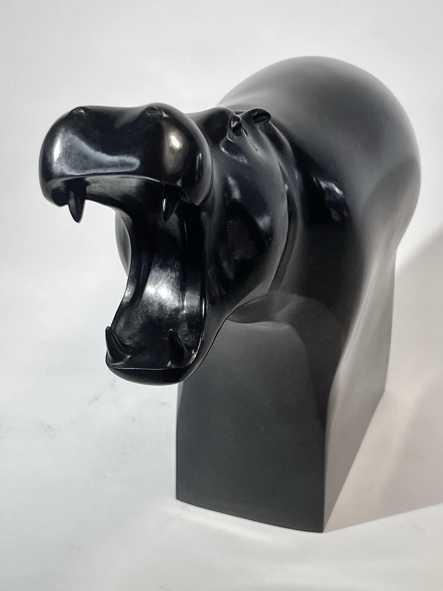 Jonathan Knight | Hippopotamus