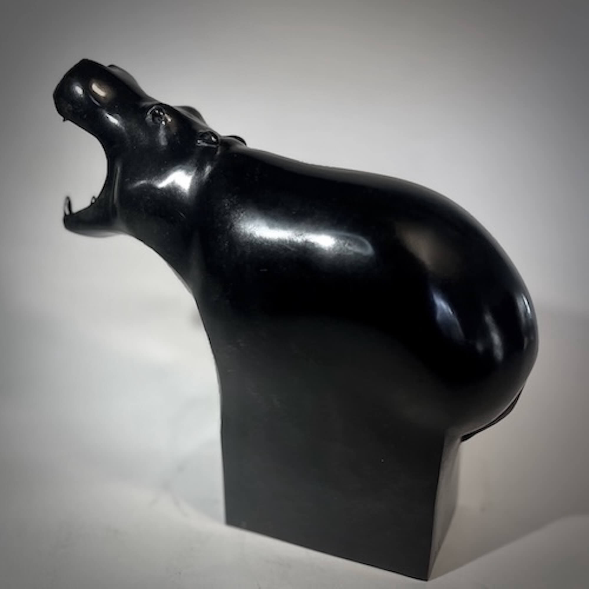 Jonathan Knight | Hippopotamus