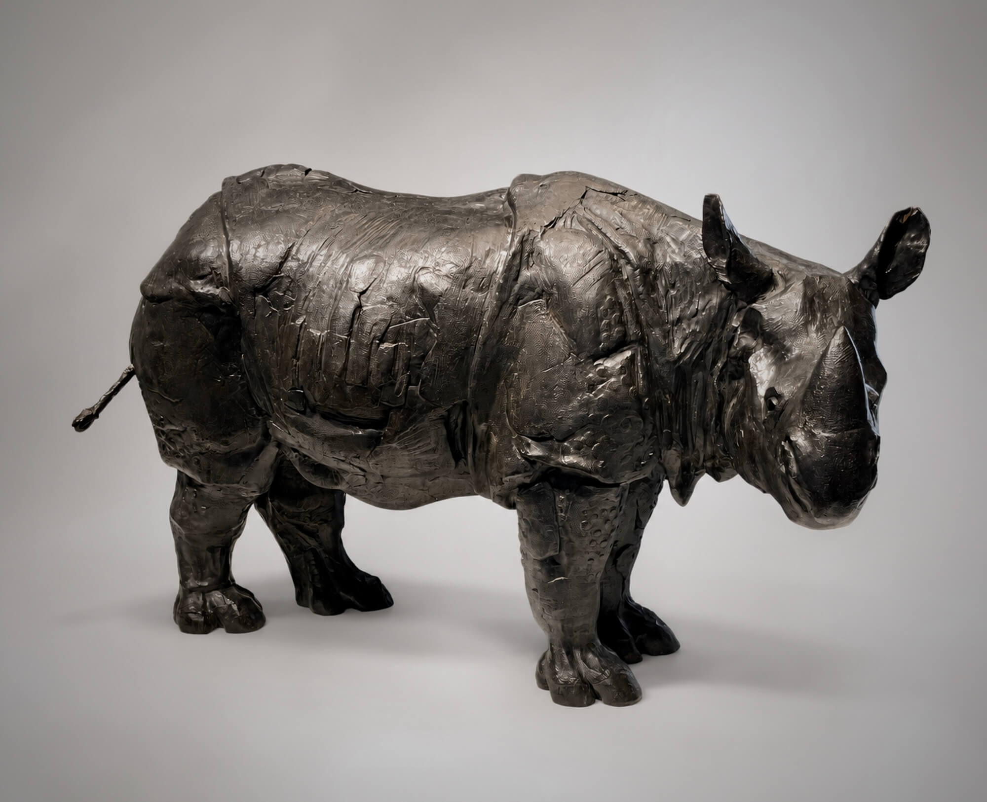 Jonathan Knight | Indian Rhino II