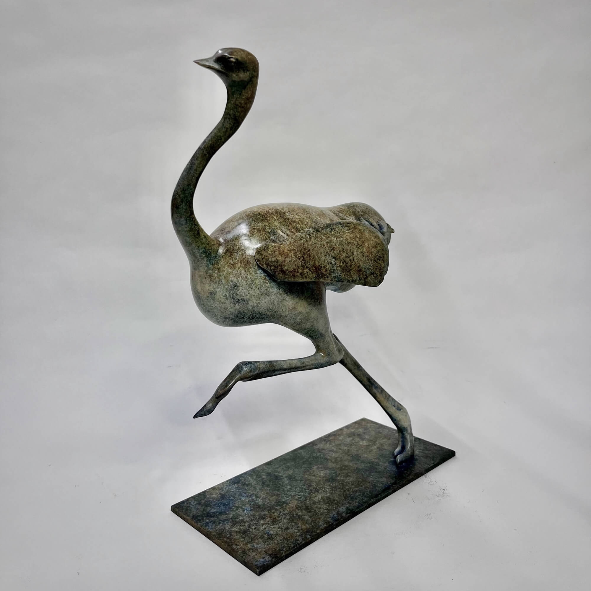 Jonathan Knight | Ostrich