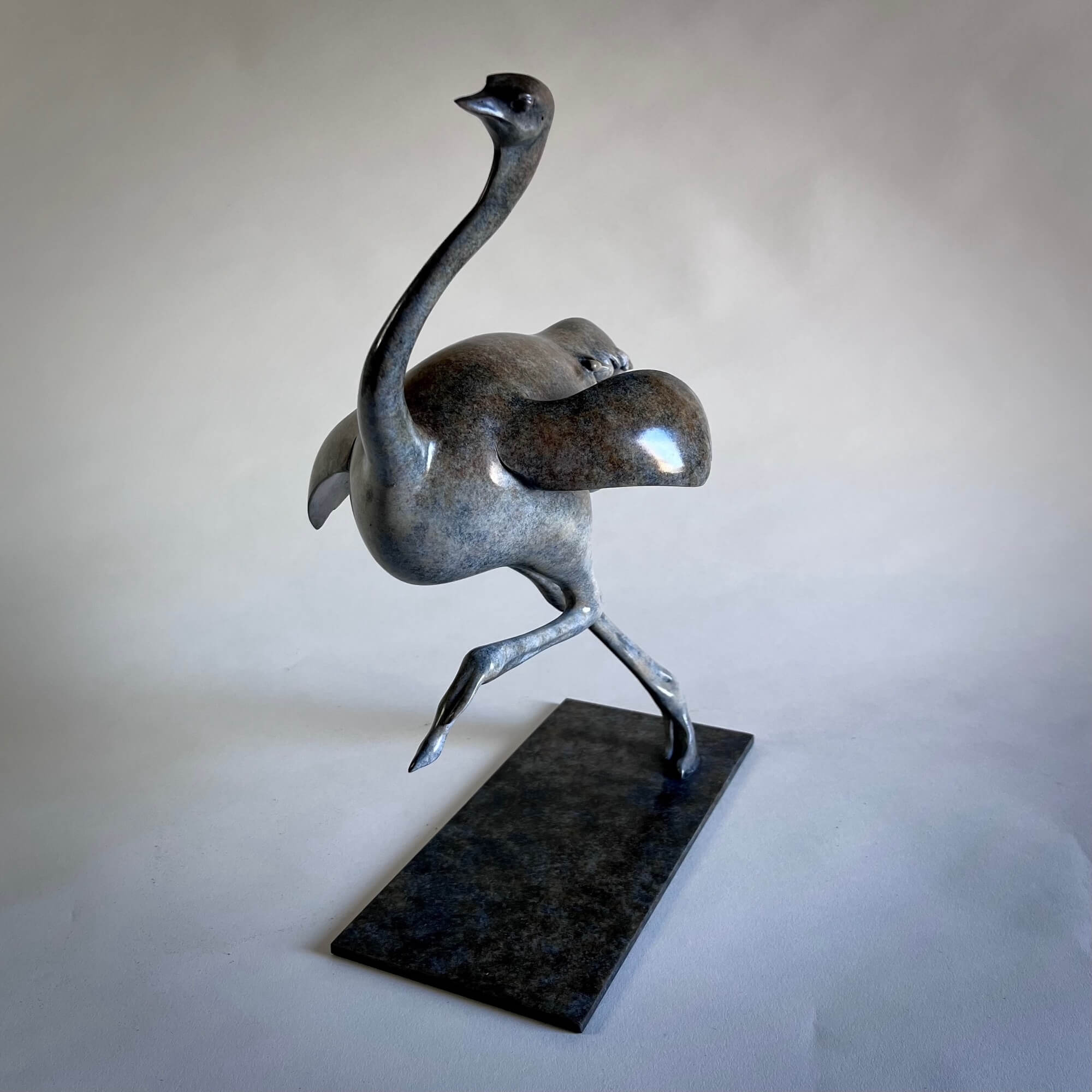Jonathan Knight | Ostrich