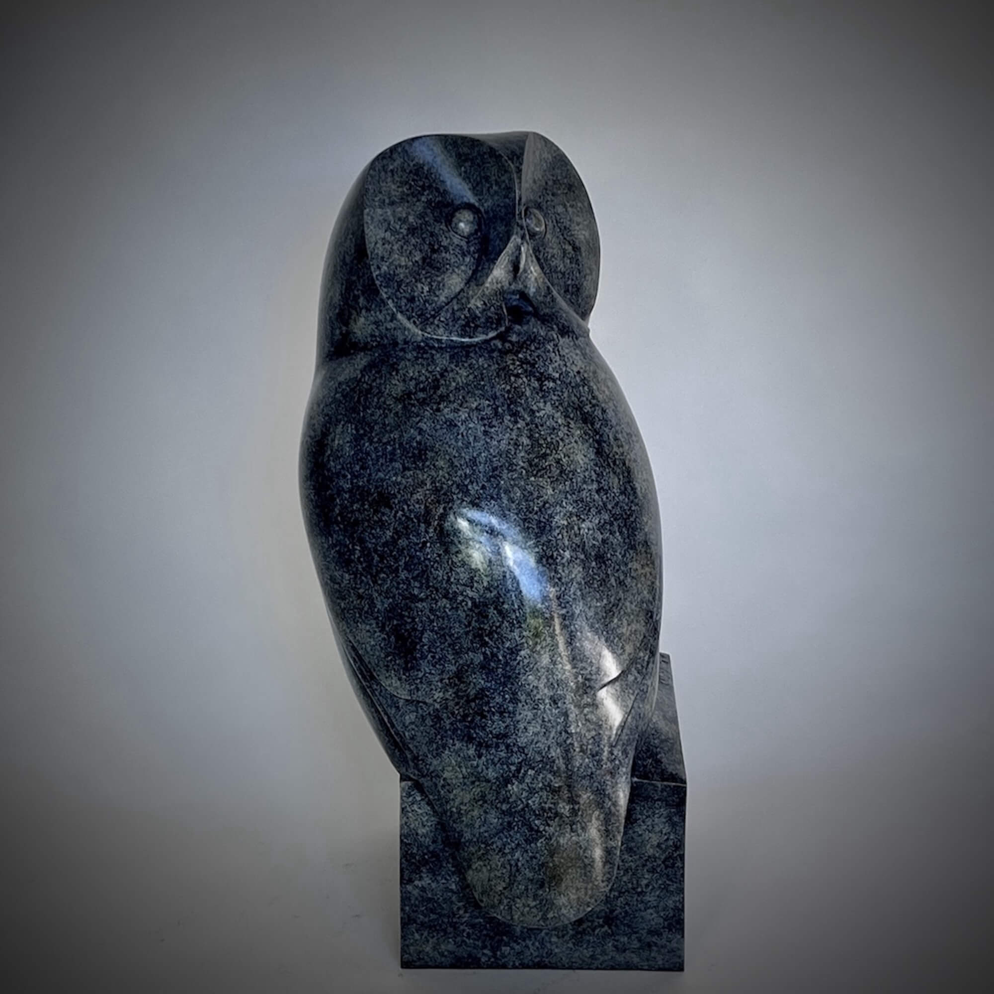 Jonathan Knight | Owl Looking Back