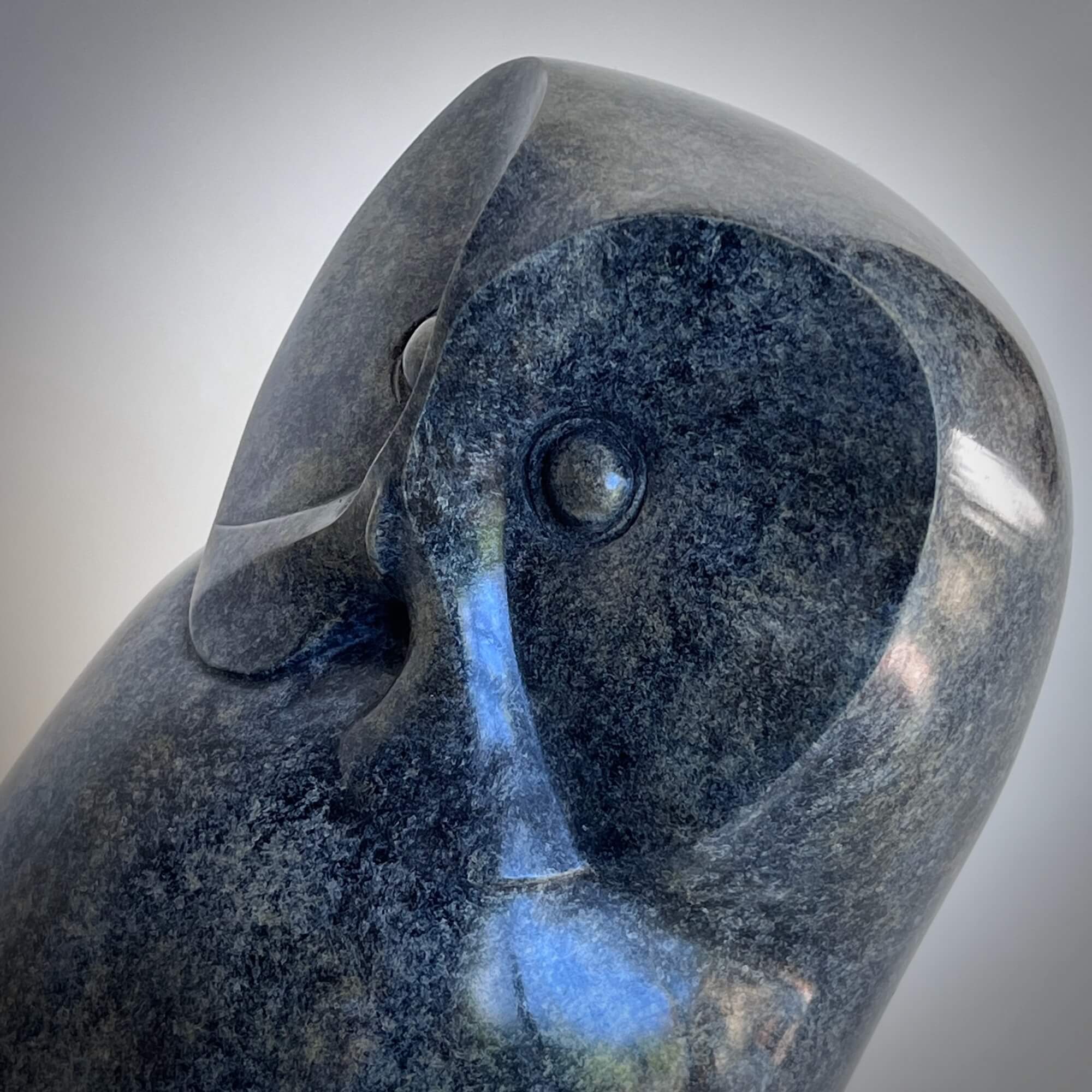Jonathan Knight | Owl Looking Back