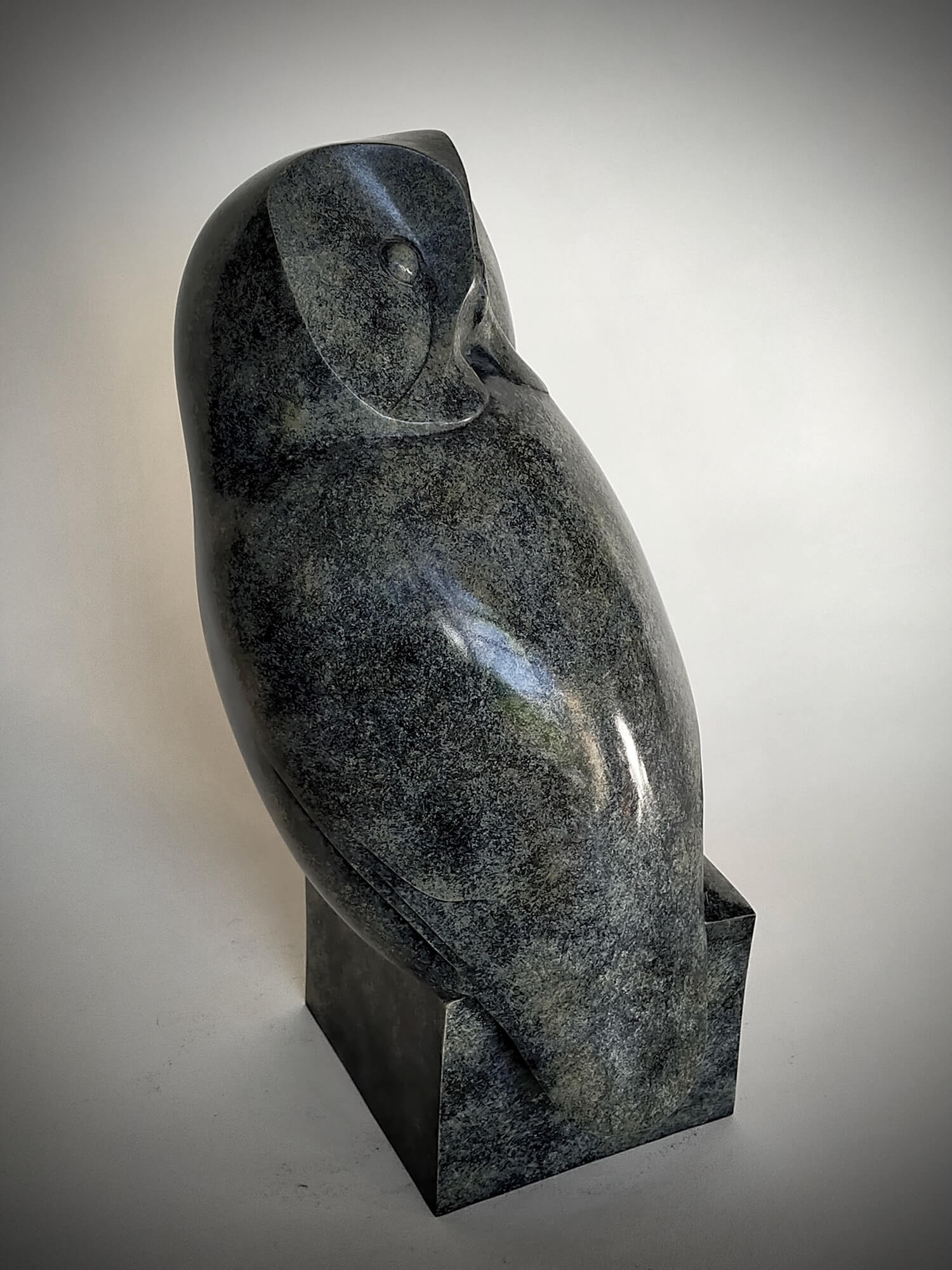 Jonathan Knight | Owl Looking Back