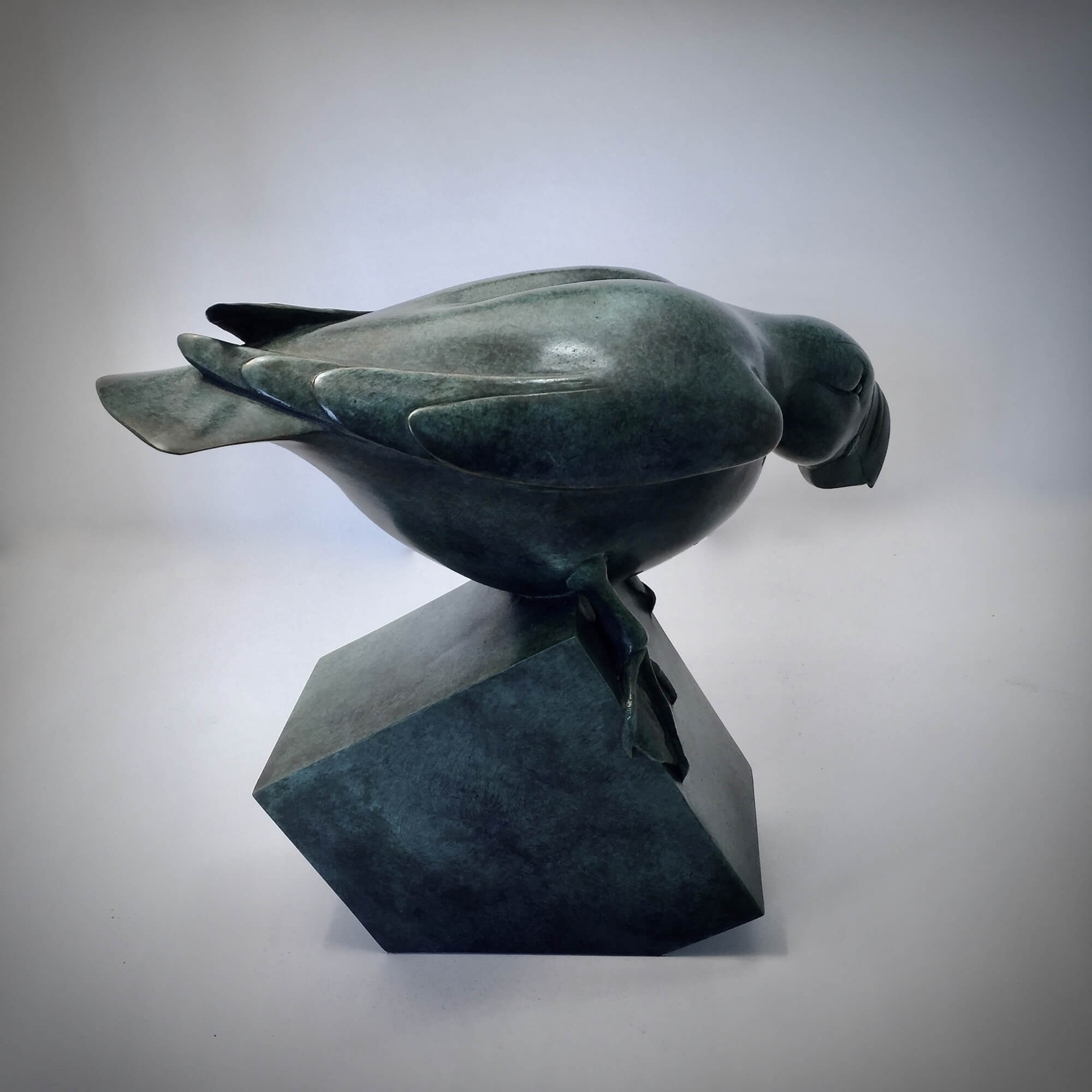 Jonathan Knight | Poised Puffin