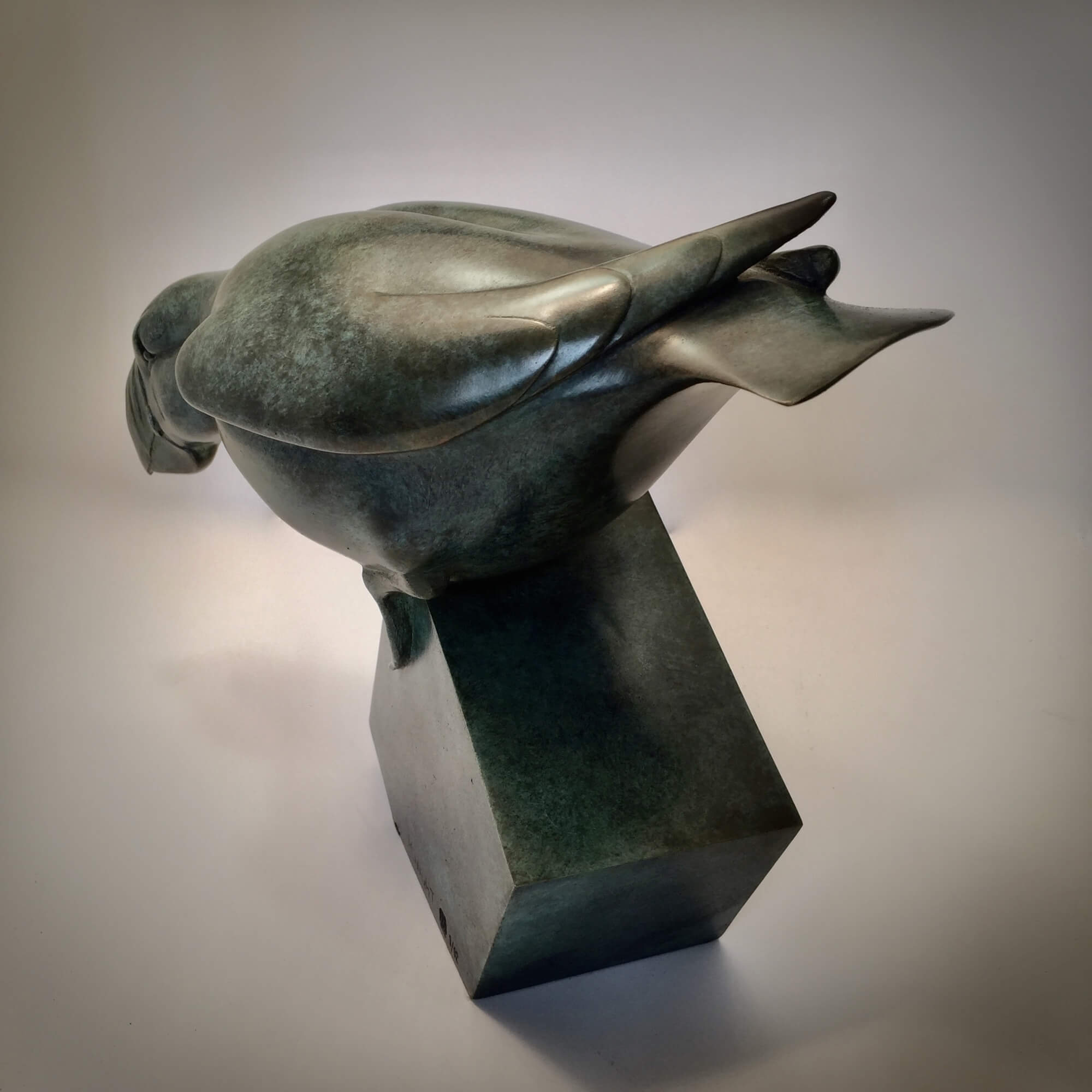 Jonathan Knight | Poised Puffin