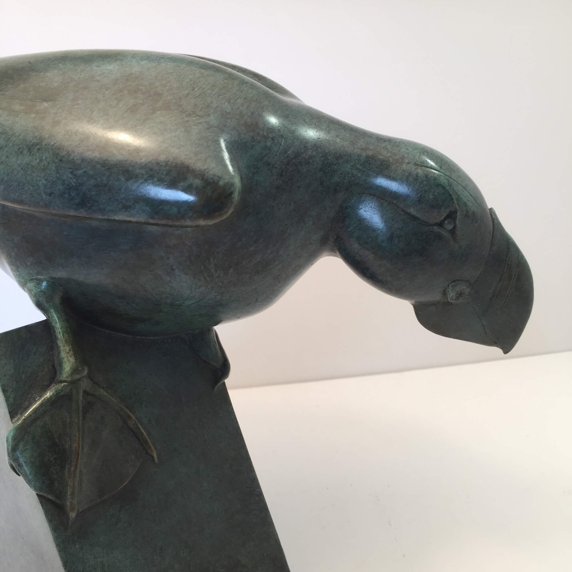 Jonathan Knight | Poised Puffin