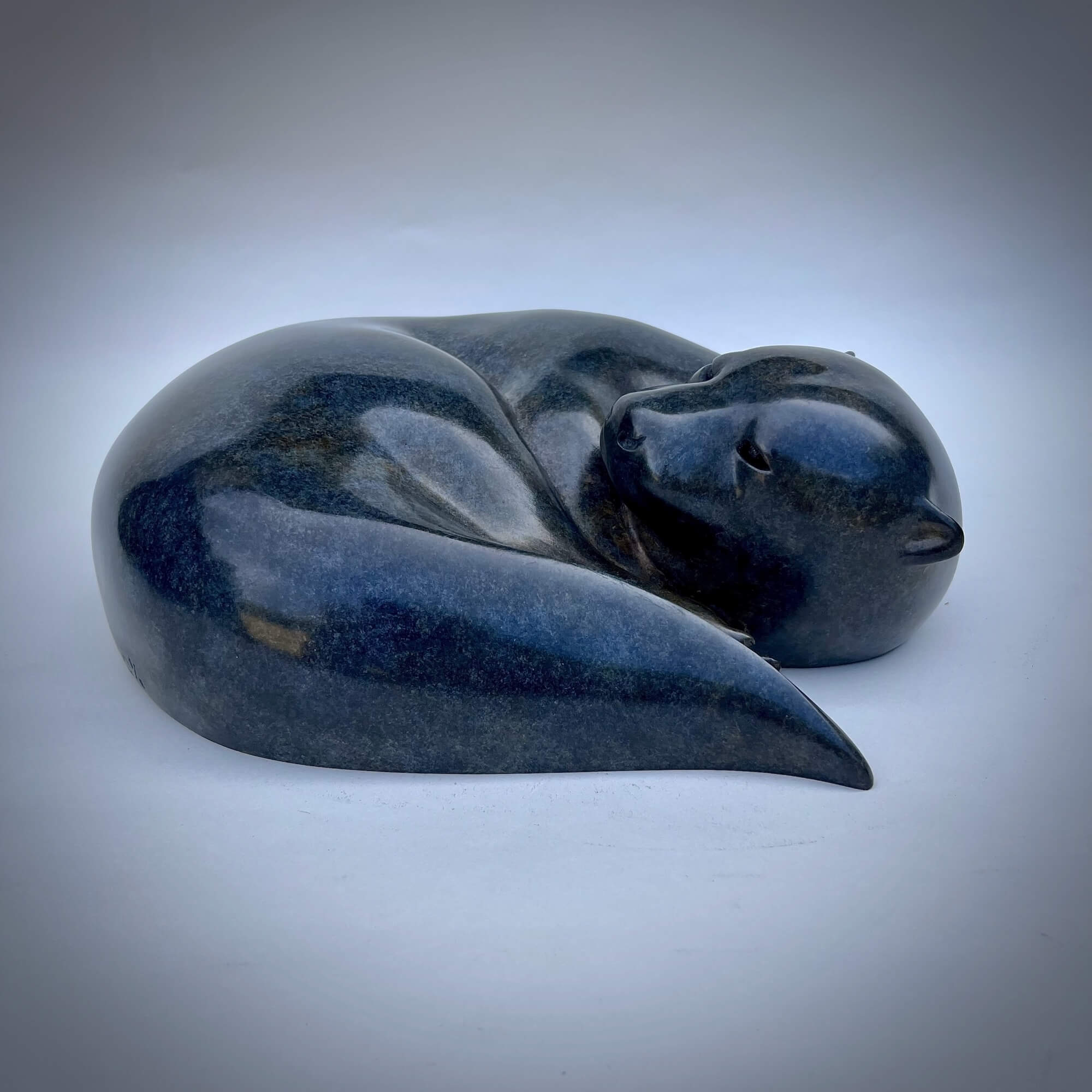 Jonathan Knight | Resting Otter