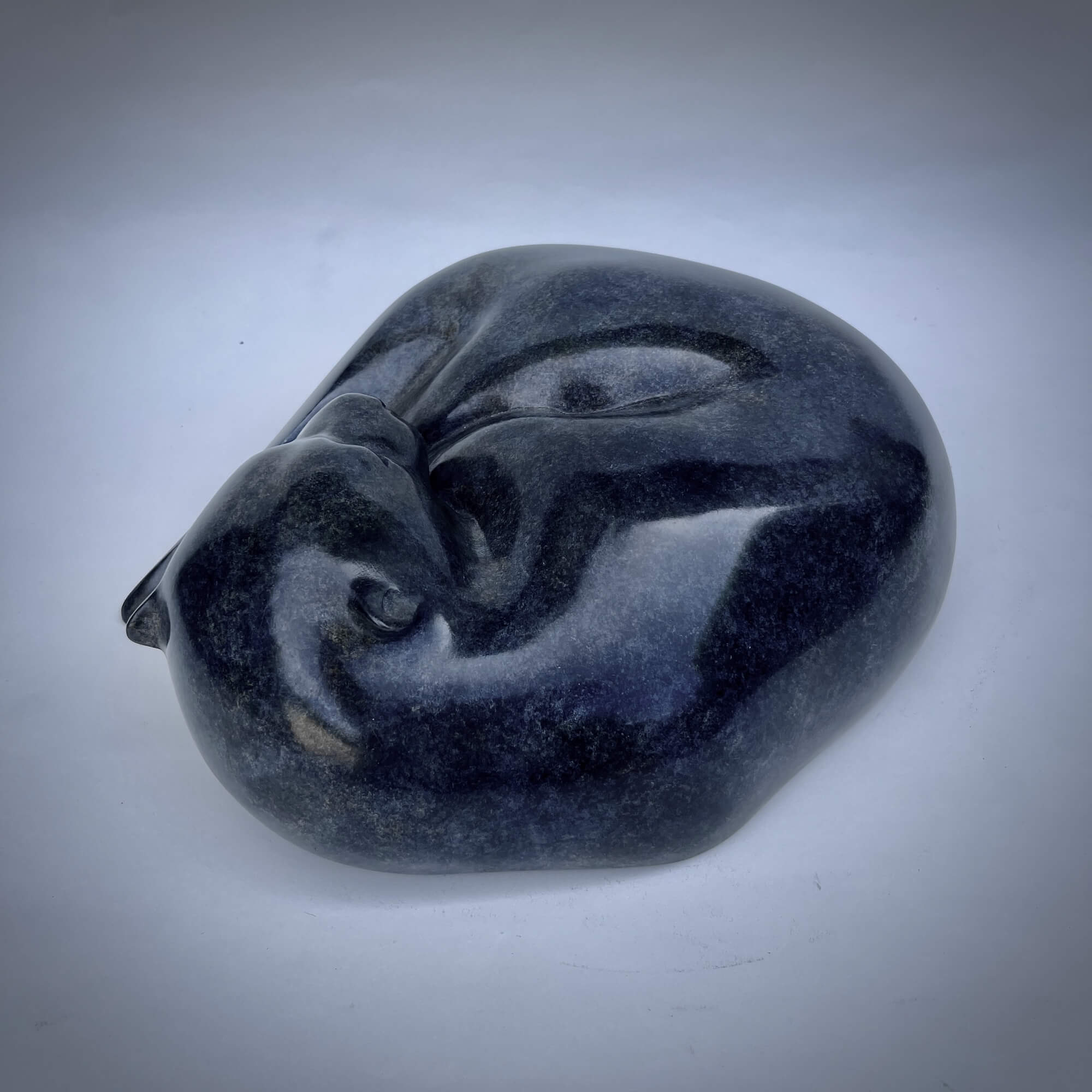 Jonathan Knight | Resting Otter