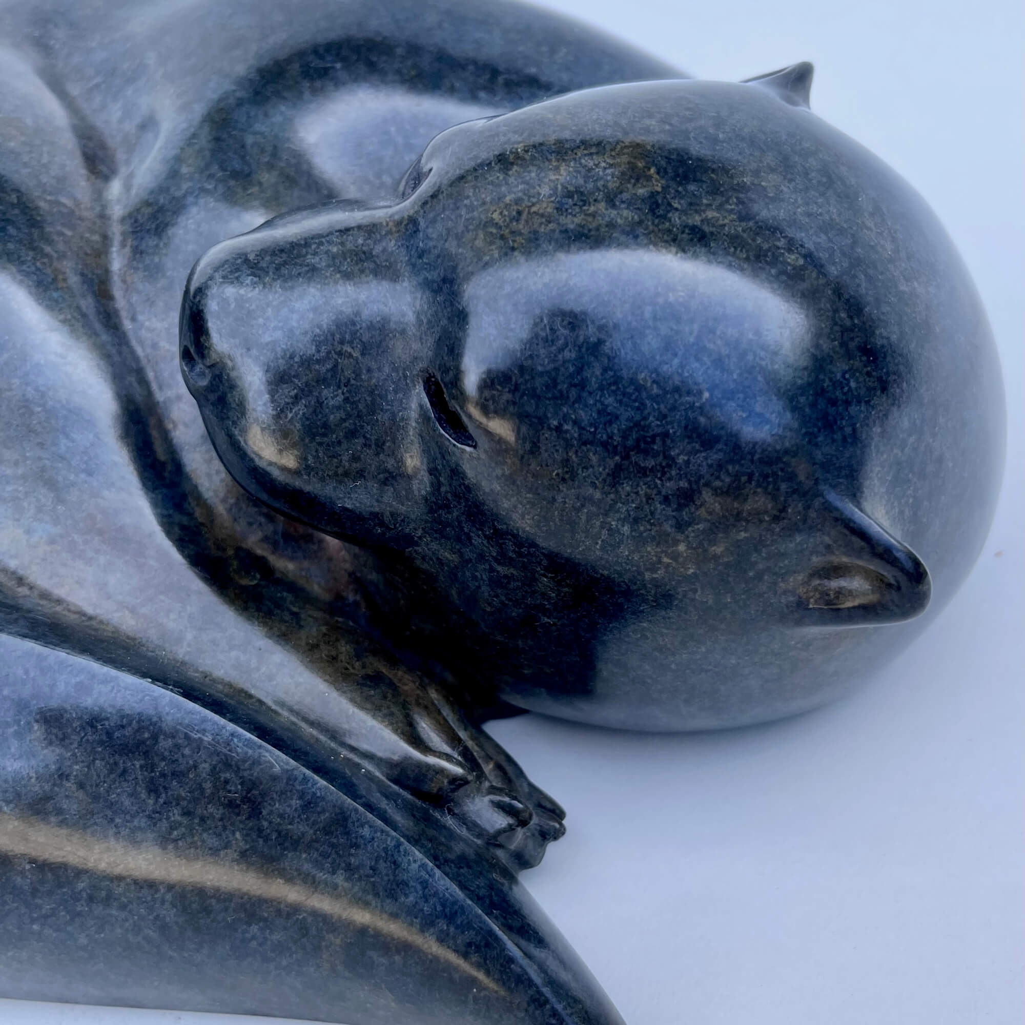 Jonathan Knight | Resting Otter