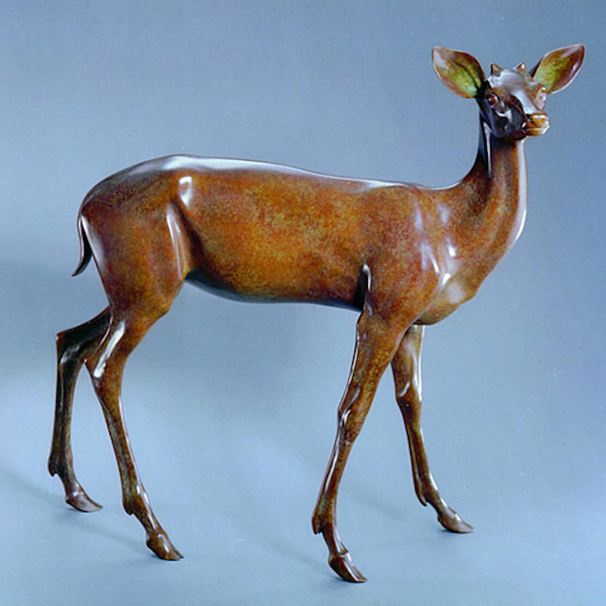 Jonathan Knight | Deer