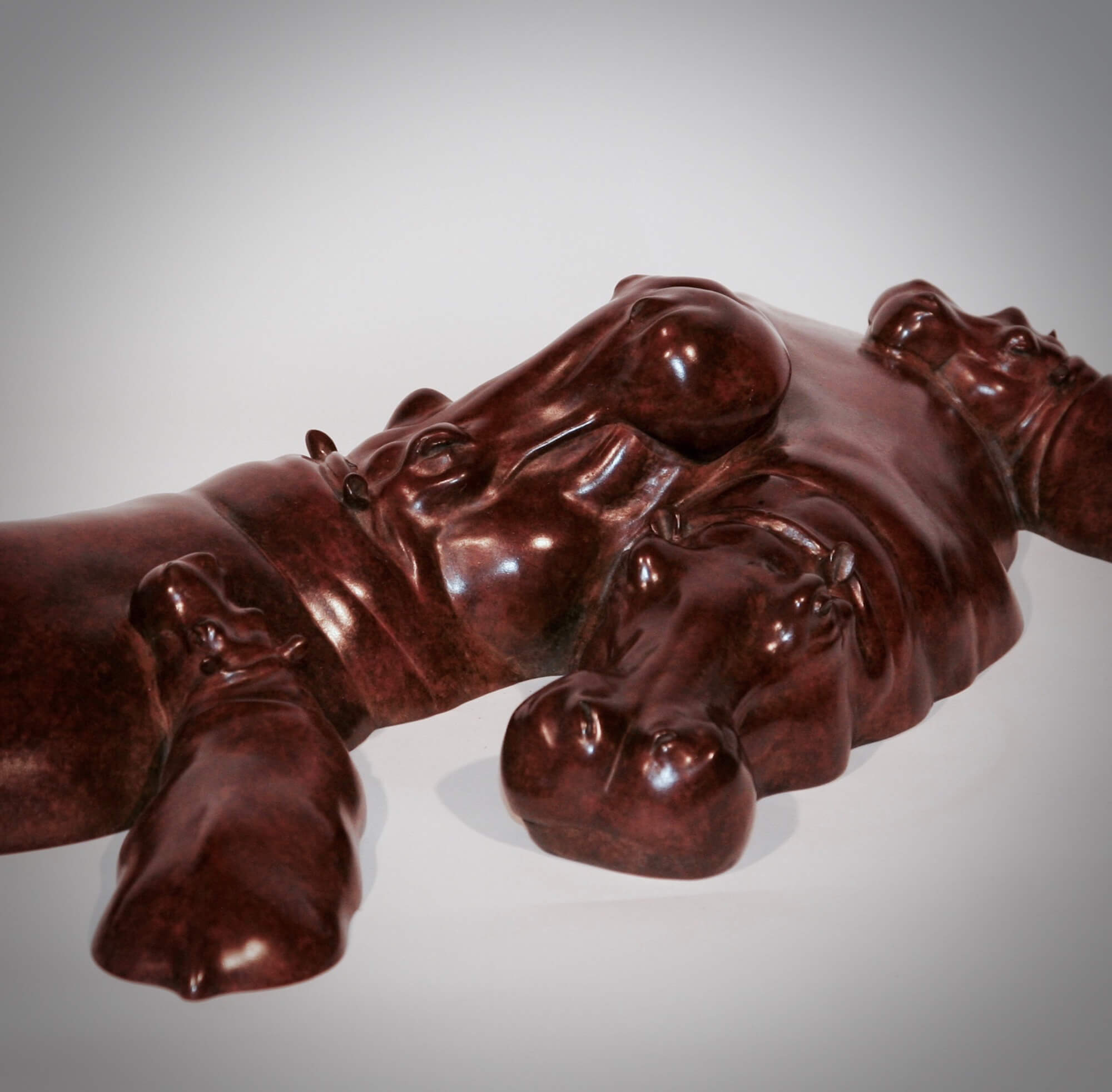 Jonathan Knight | Family of Hippos
