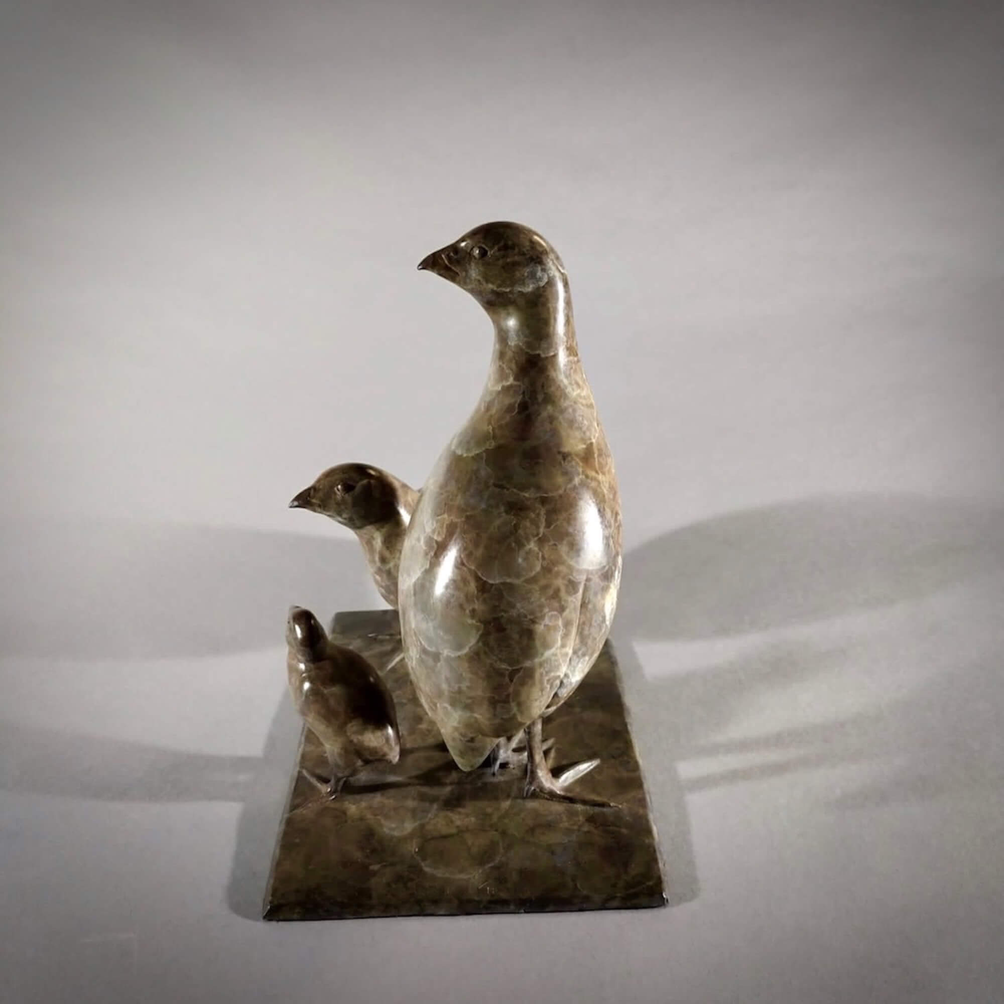 Jonathan Knight | Family of Quail