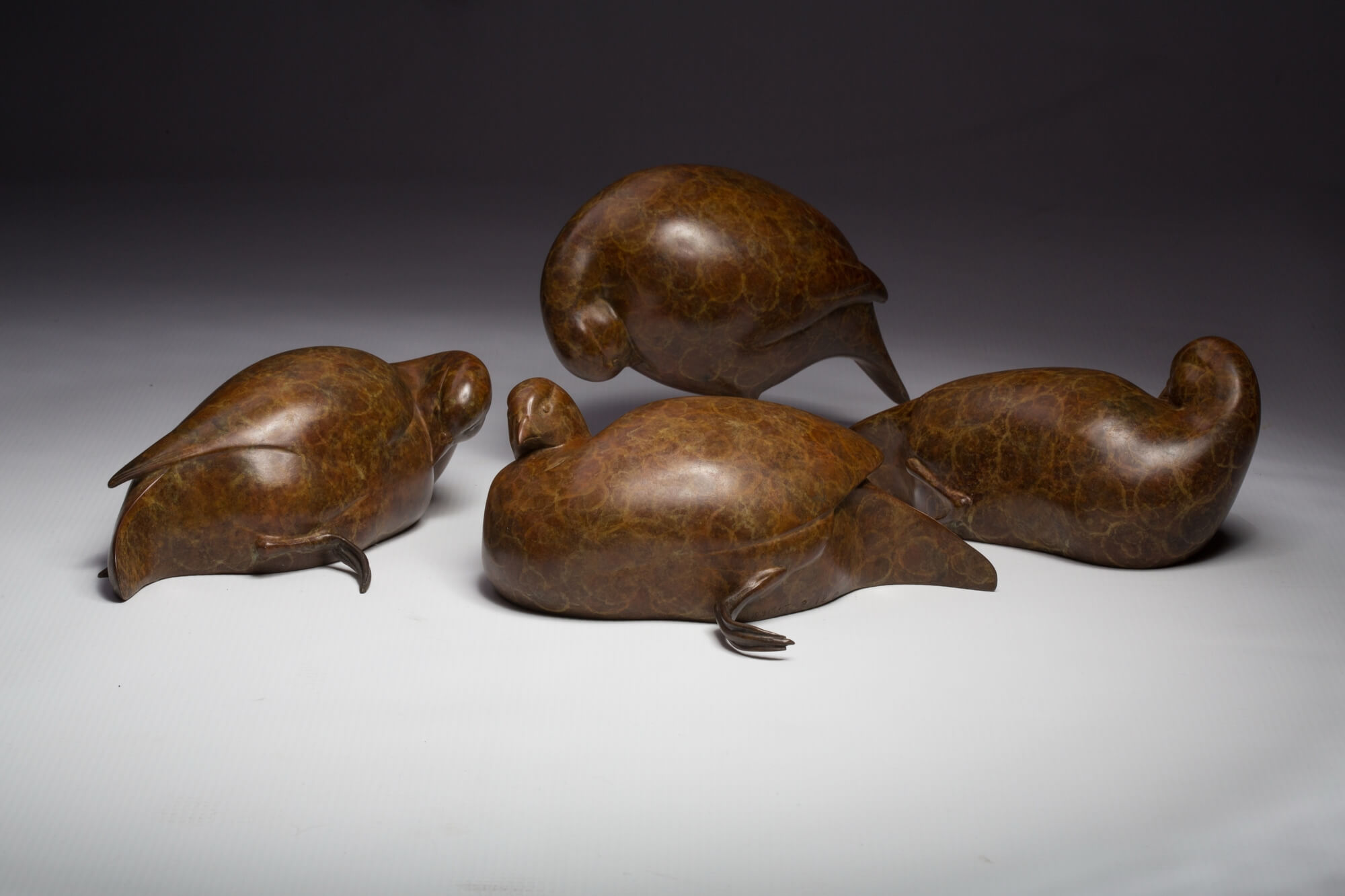 Jonathan Knight | Four Preening Partridges
