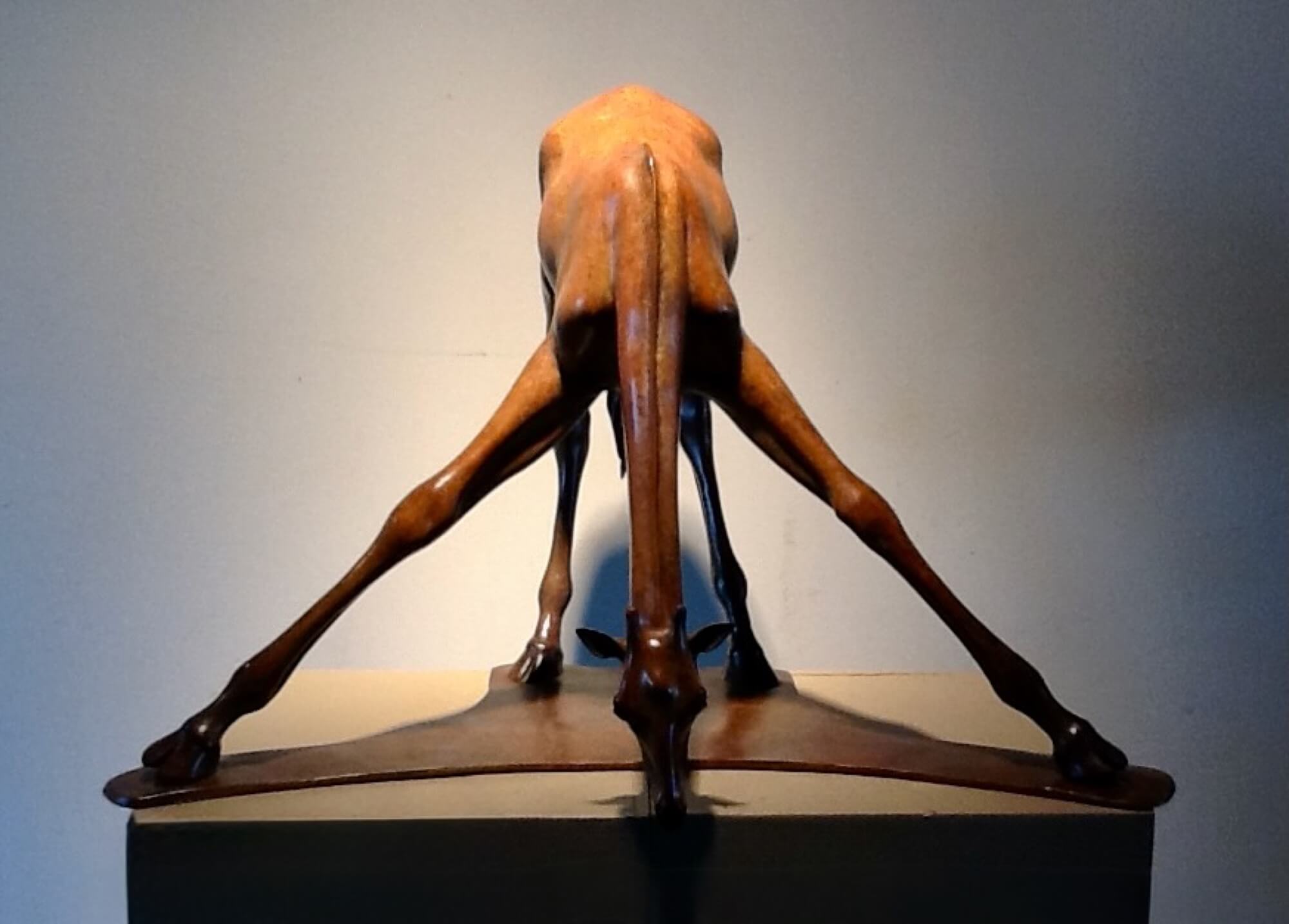 Jonathan Knight | Giraffe Drinking