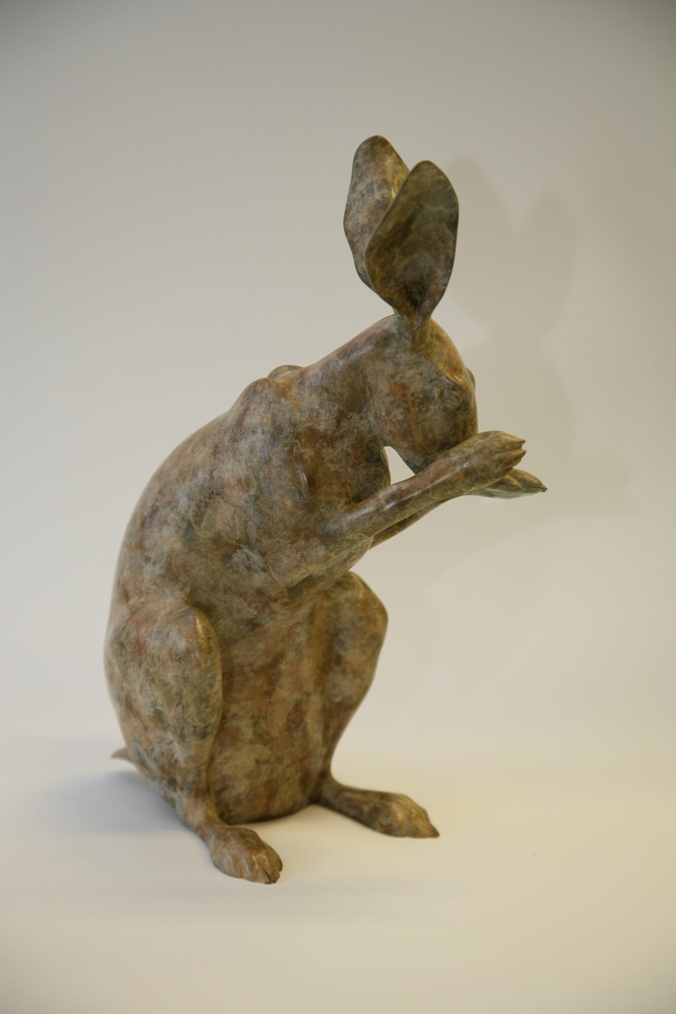 Jonathan Knight | Hare Grooming