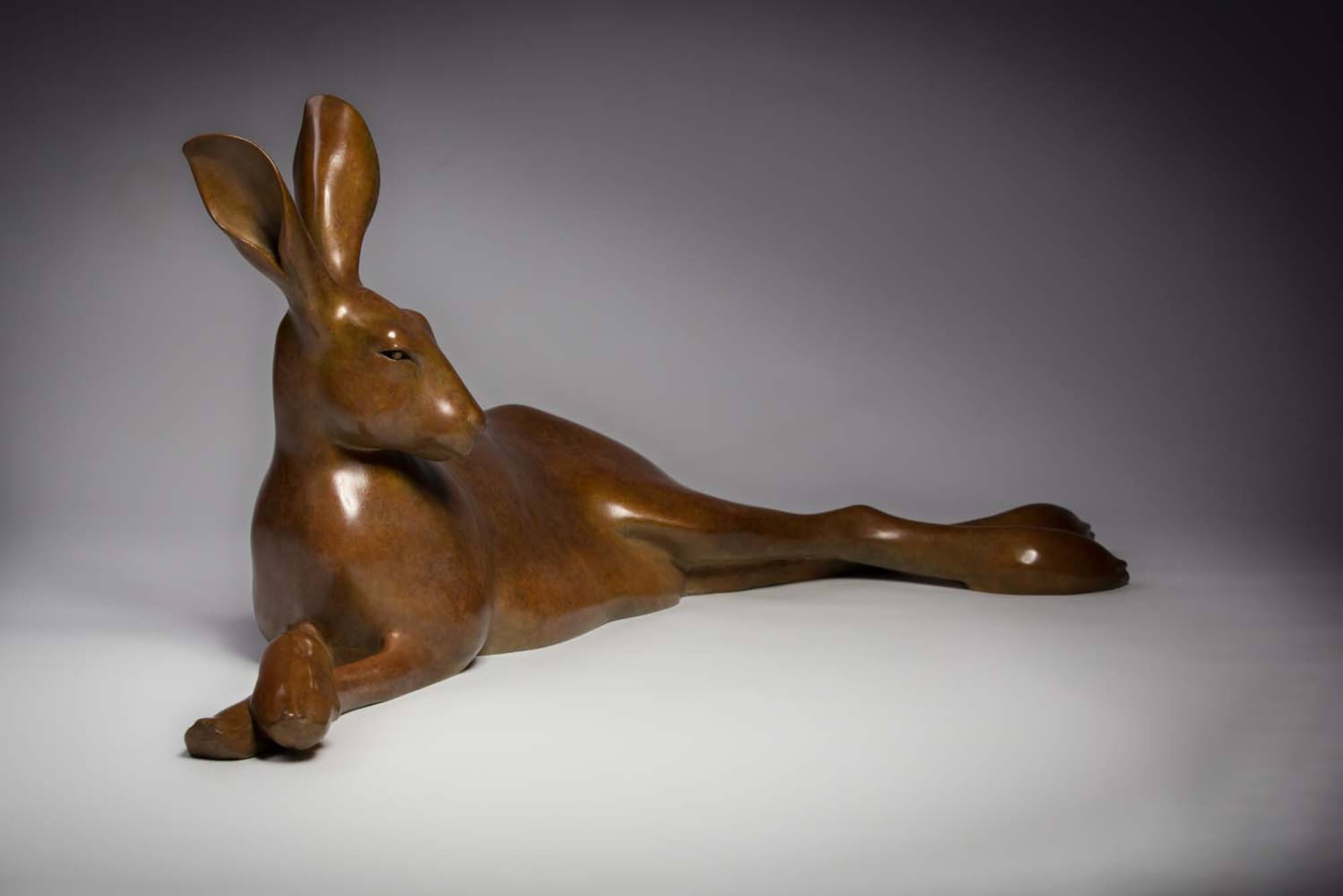 Jonathan Knight | Hare Resting