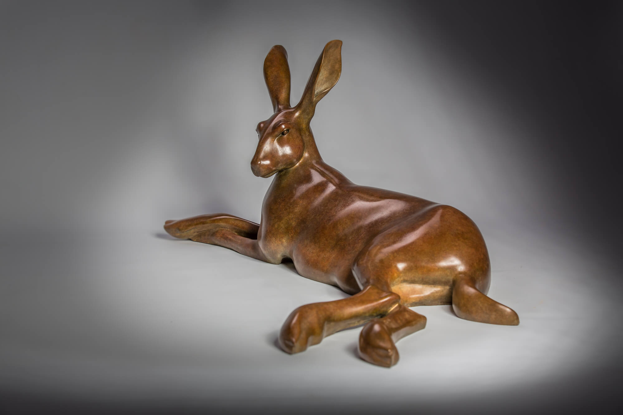 Jonathan Knight | Hare Resting