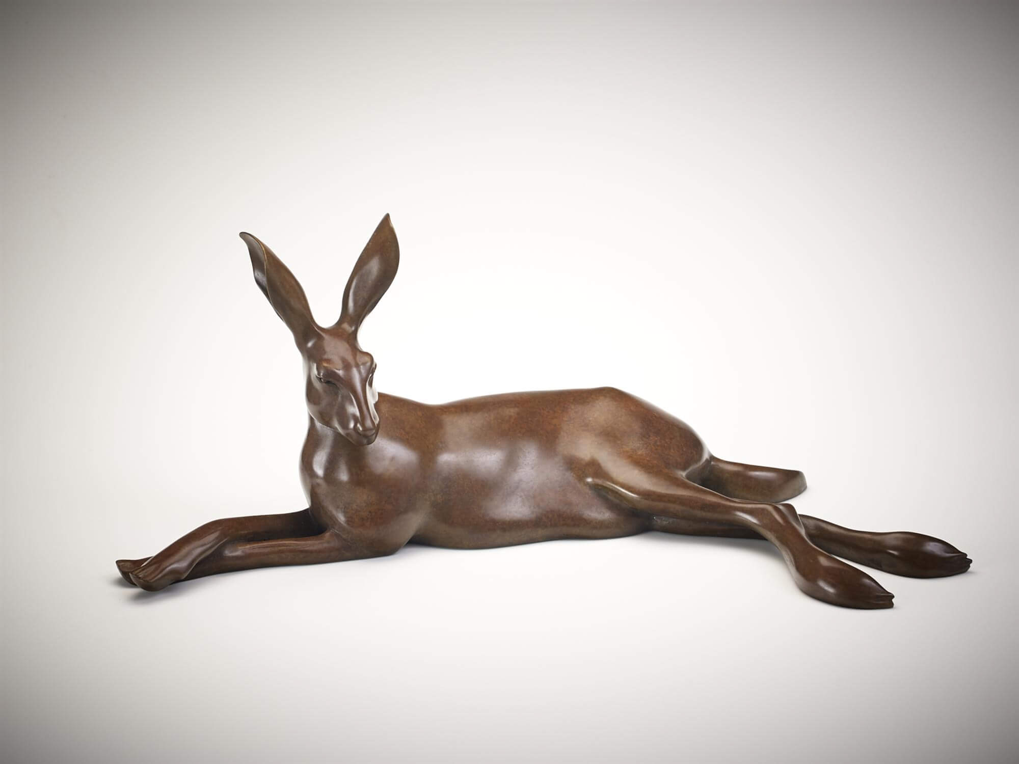 Jonathan Knight | Hare Resting