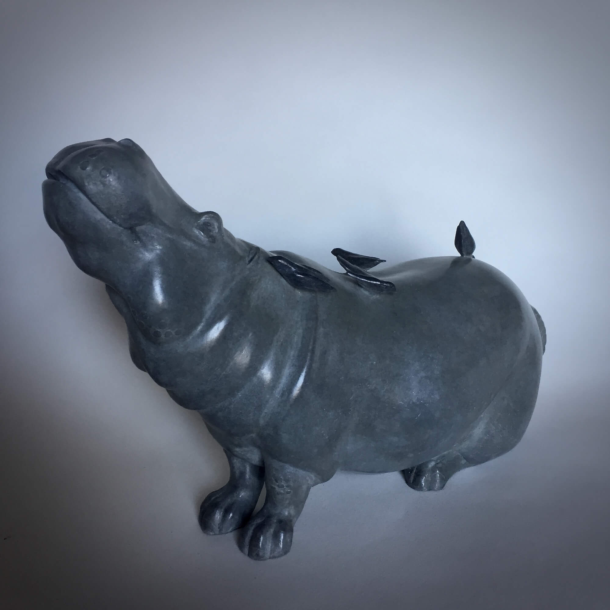 Jonathan Knight | Hippo and Birds