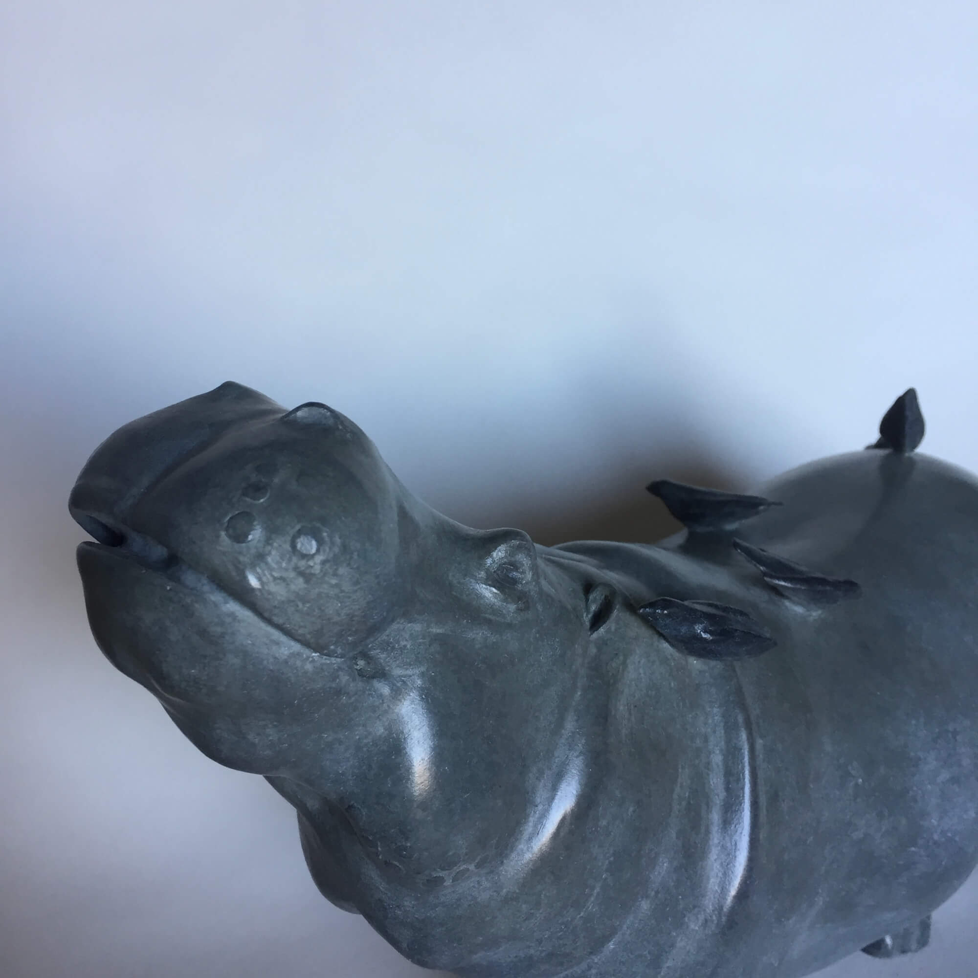 Jonathan Knight | Hippo and Birds