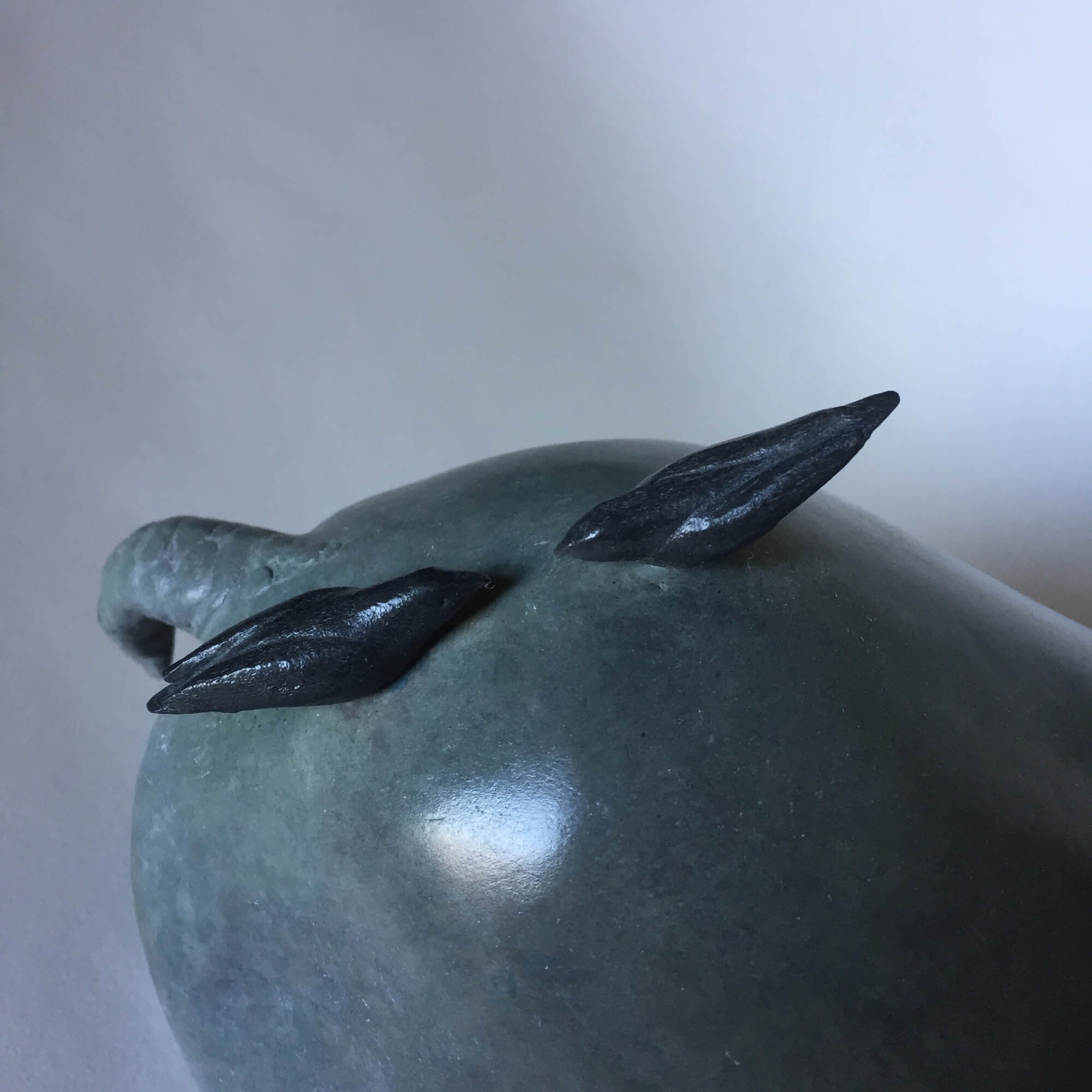 Jonathan Knight | Hippo and Birds