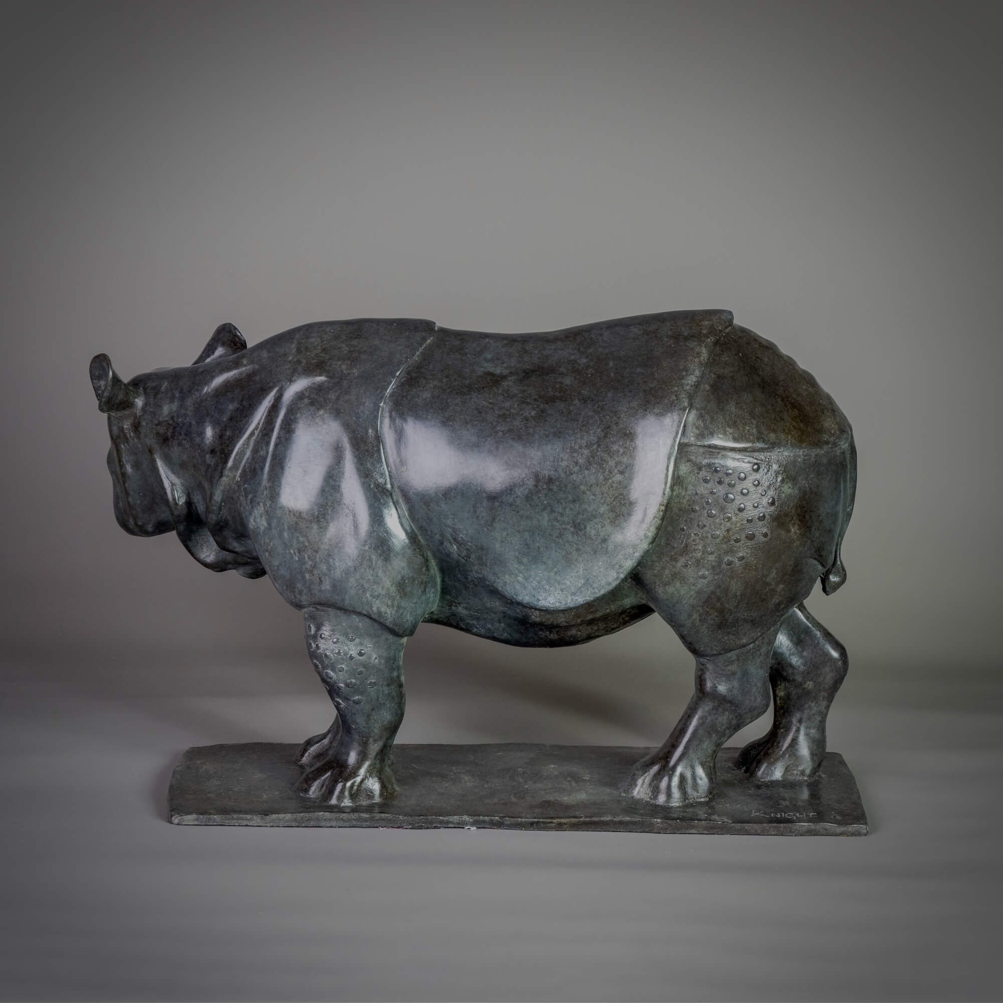 Jonathan Knight | Indian Rhino