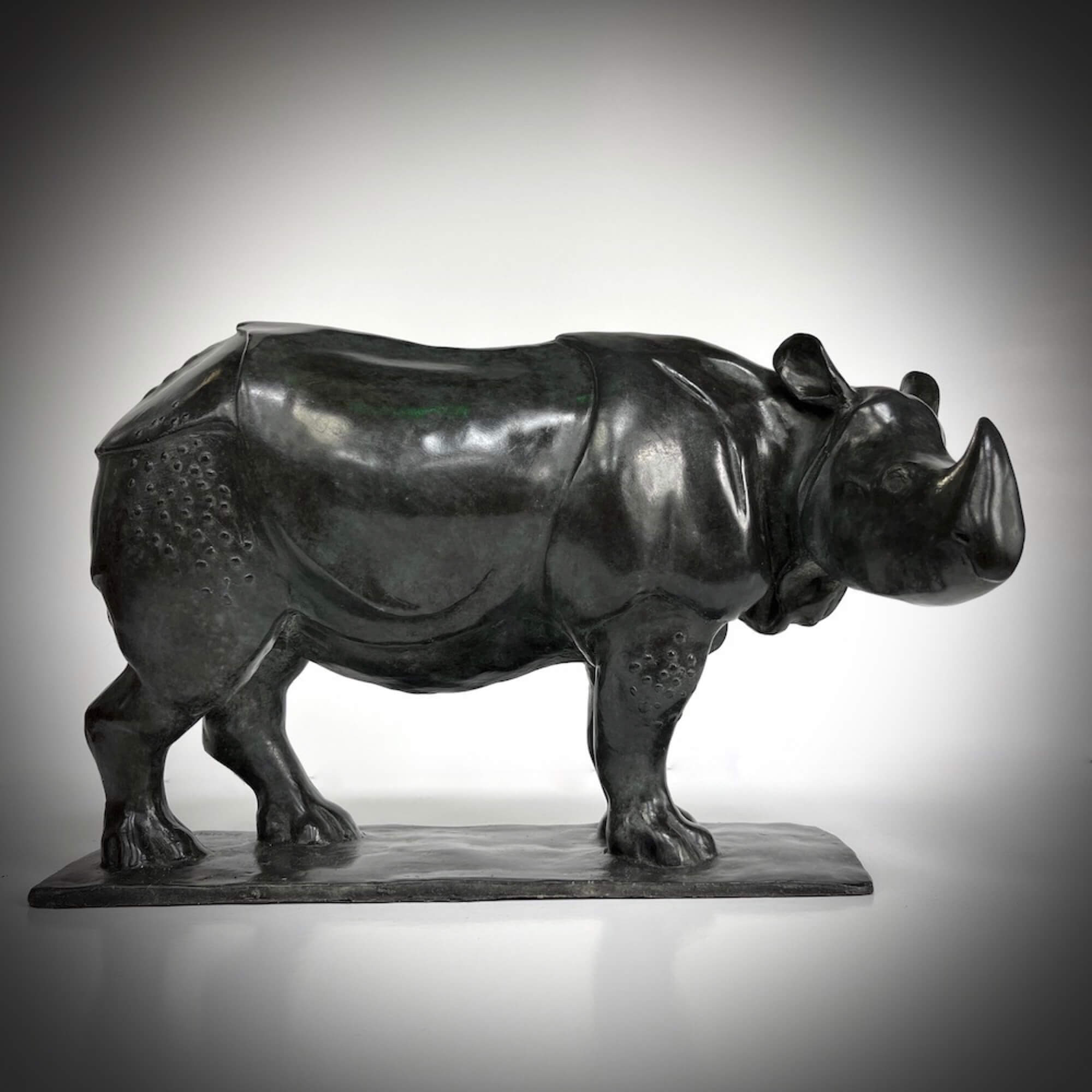 Jonathan Knight | Indian Rhino