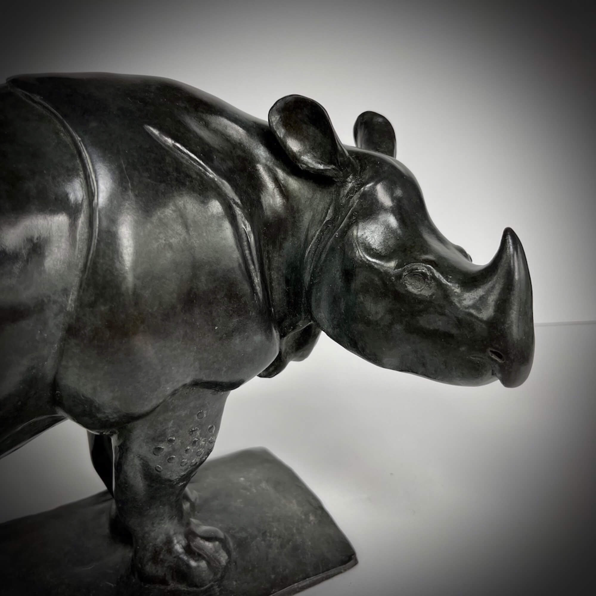 Jonathan Knight | Indian Rhino
