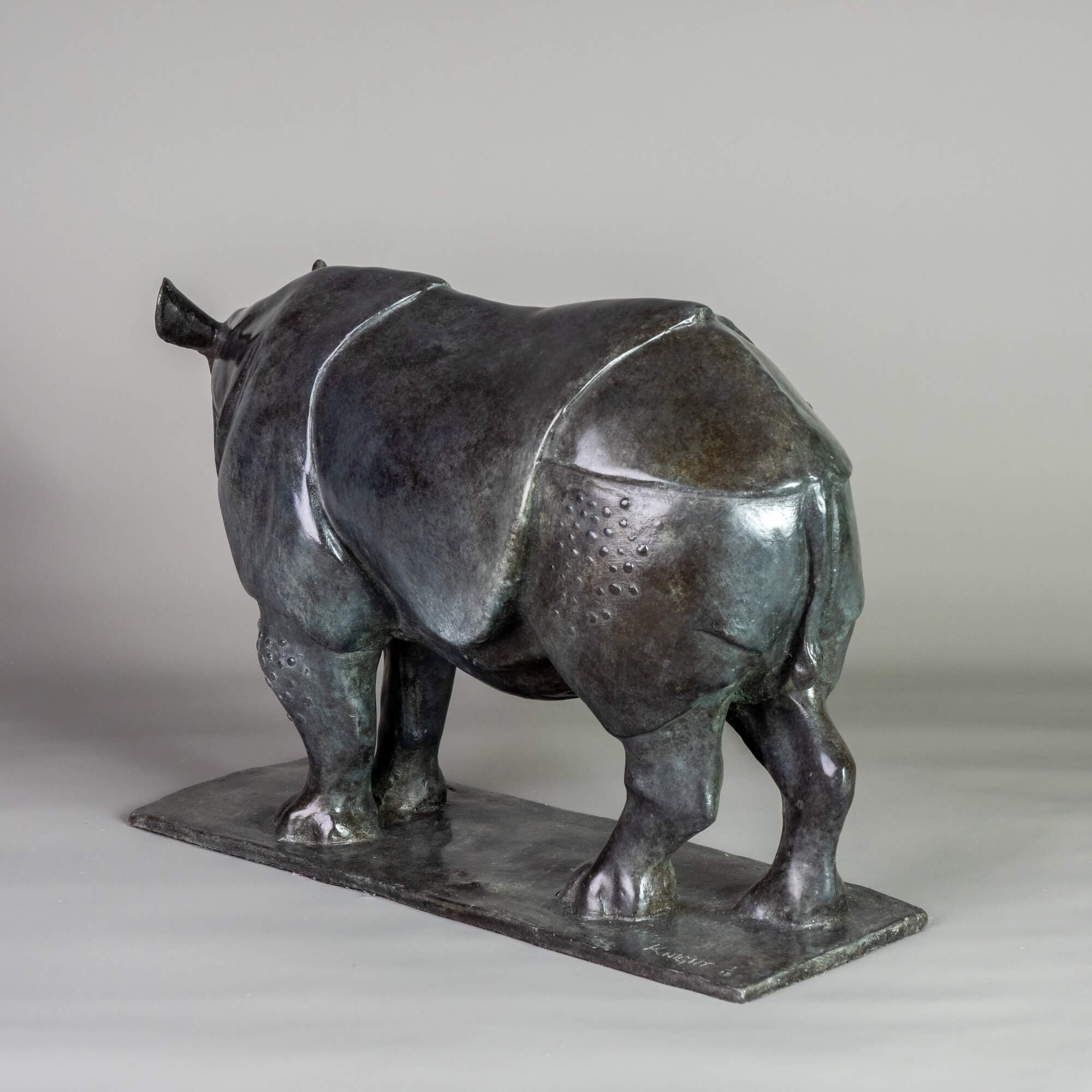 Jonathan Knight | Indian Rhino