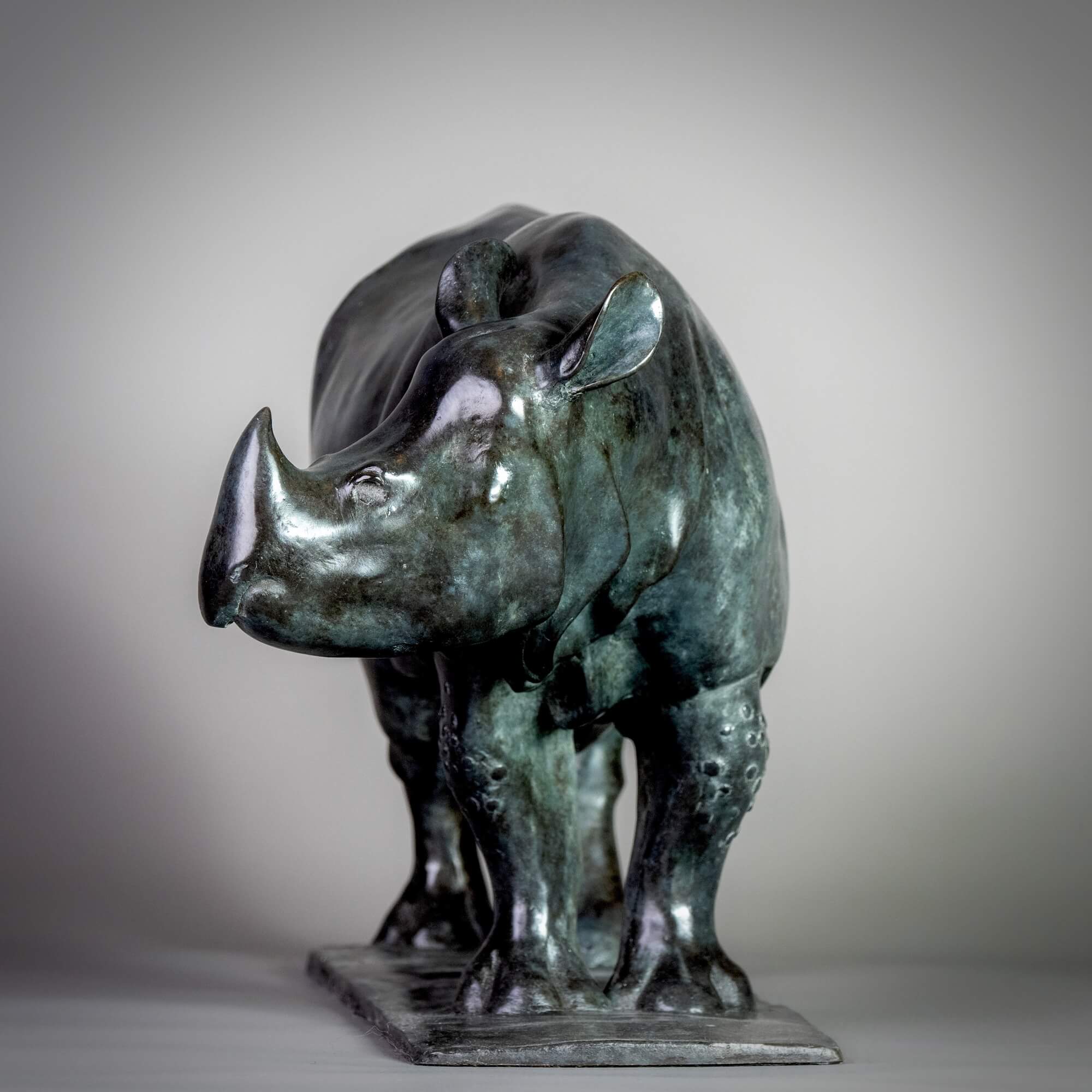 Jonathan Knight | Indian Rhino