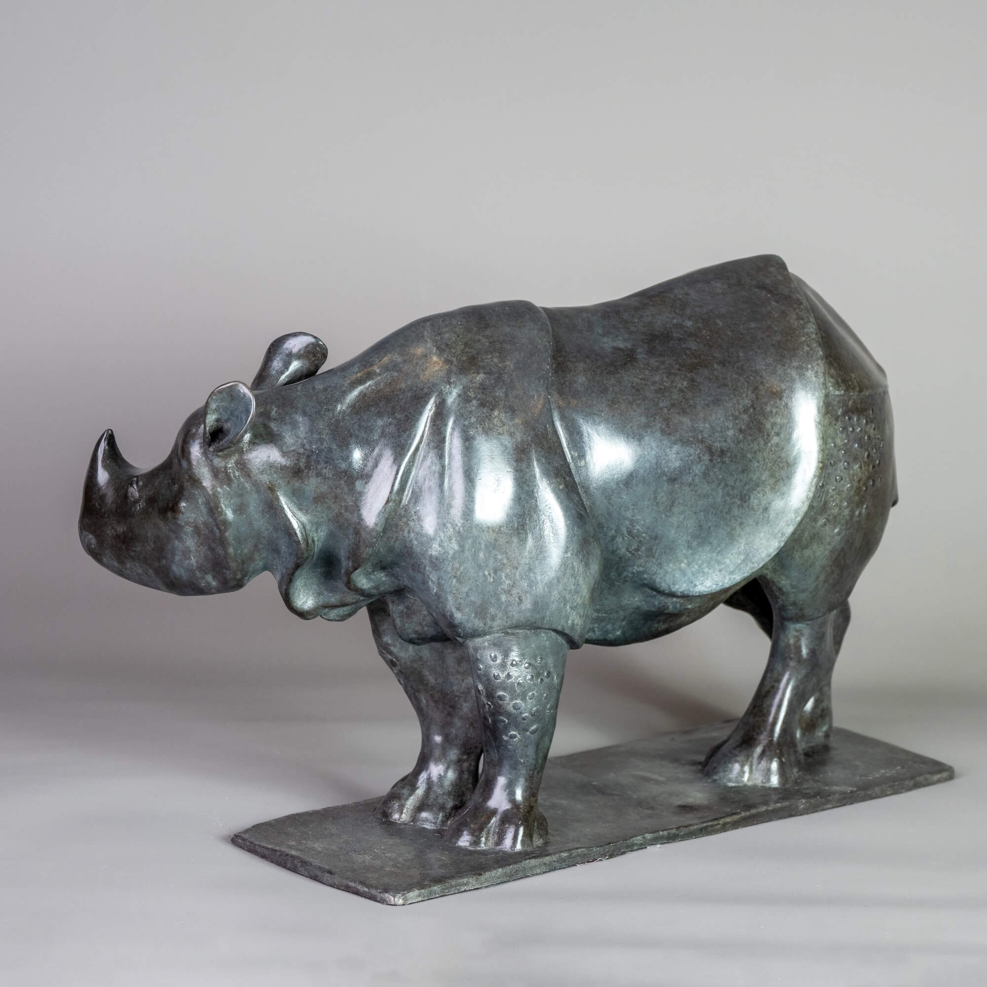 Jonathan Knight | Indian Rhino