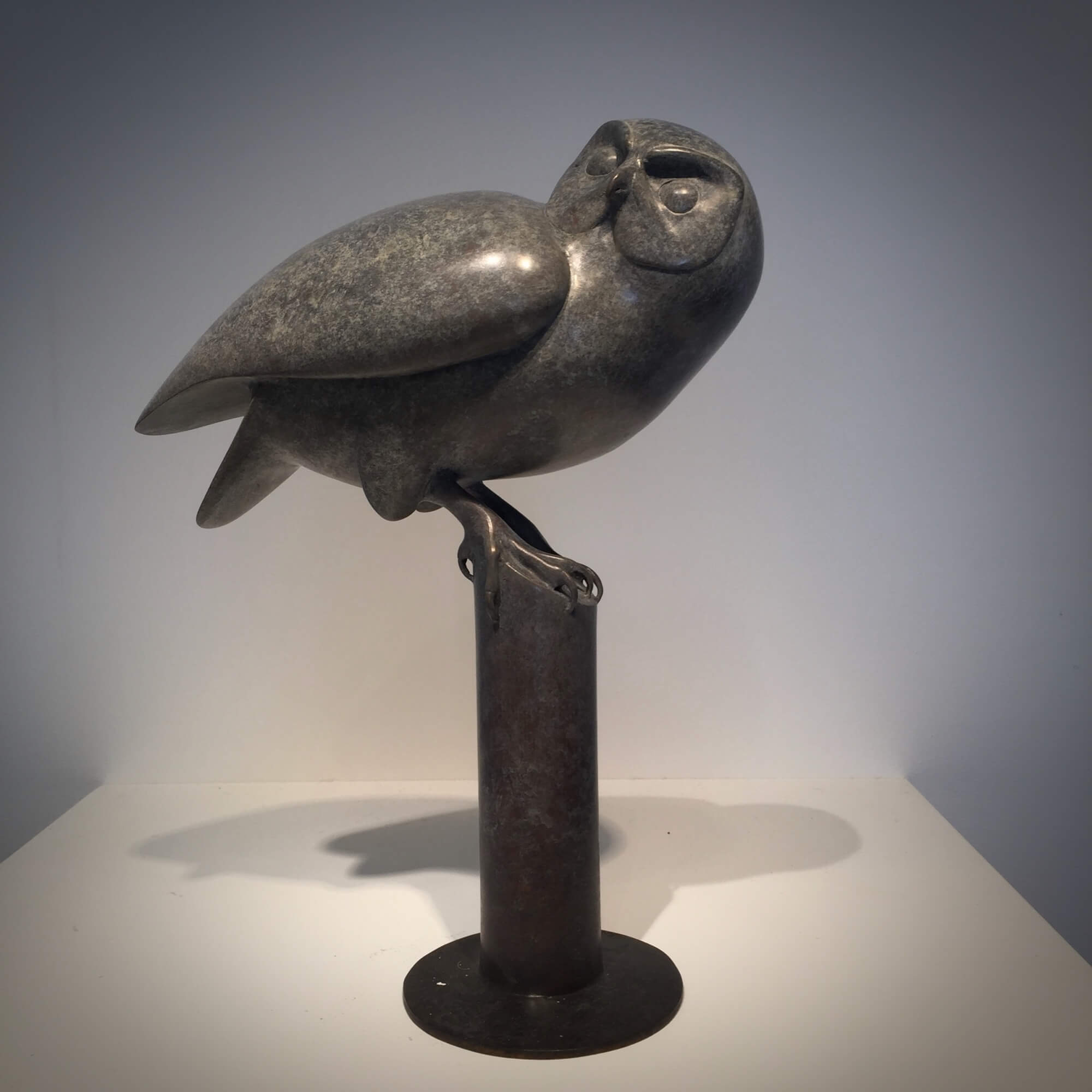 Jonathan Knight | Little Owl